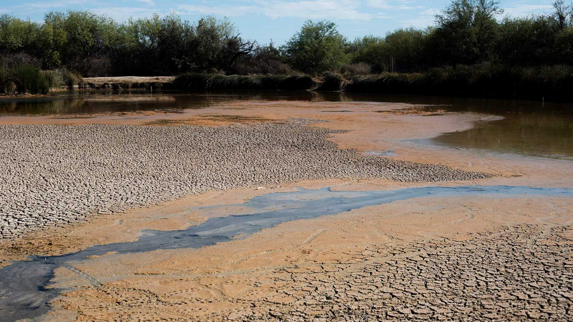 Cracked mud flats appear on the surface of Quitobaquito pond on July 18, 2020.