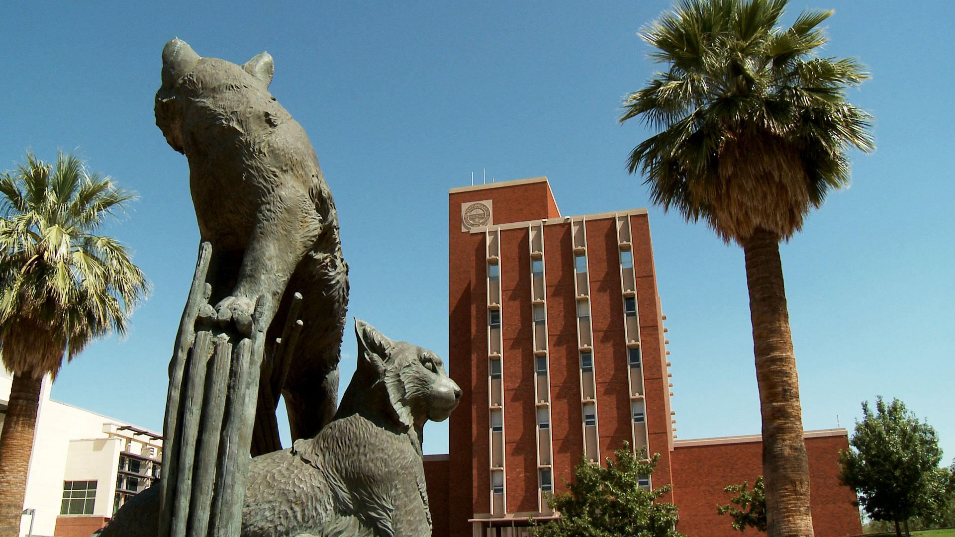 The University of Arizona Administration building. 