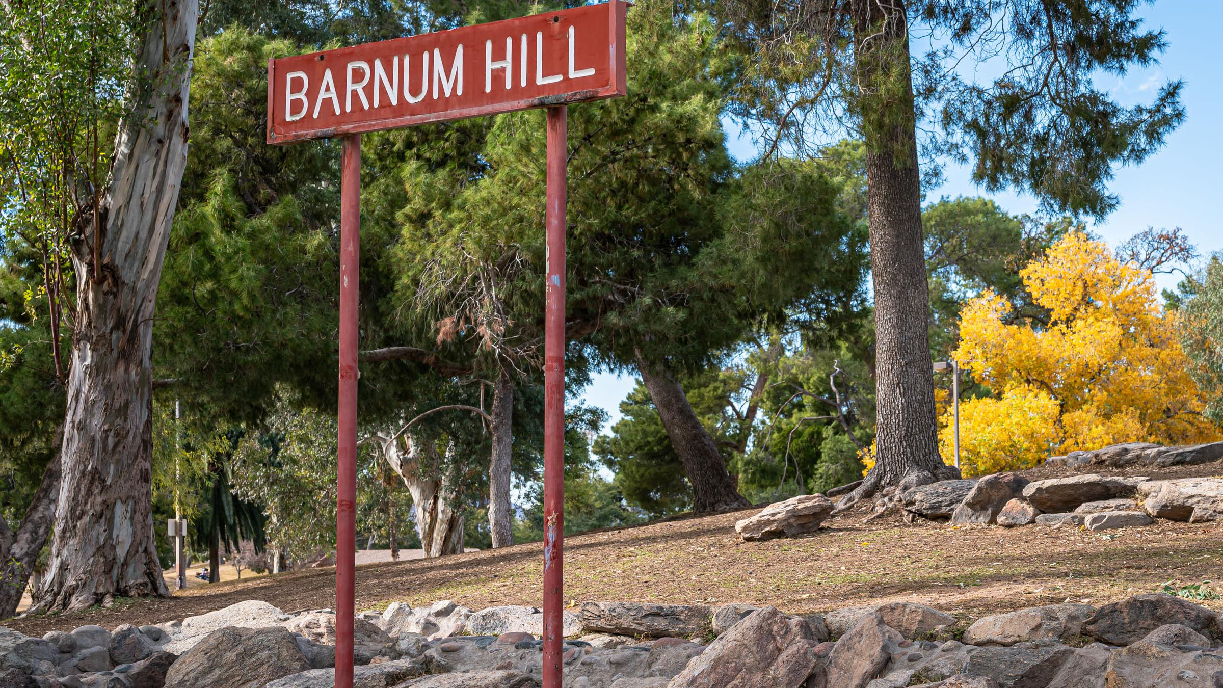 The sign designating Barnum Hill, a man-made feature of Reid Park that may soon become a part of Reid Park Zoo's planned tiger enclosure.