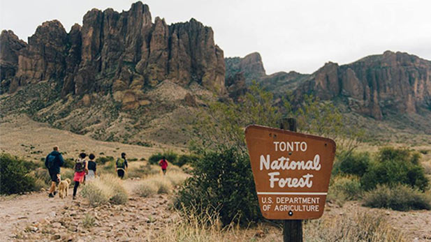 Tonto National Forest Sign