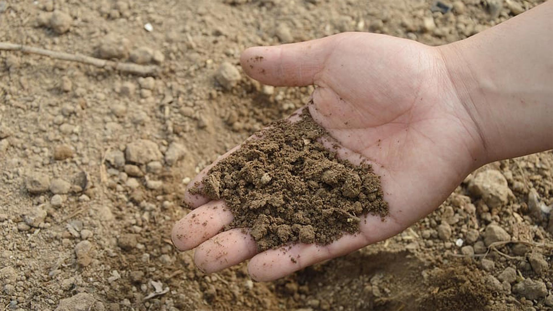 Experts anticipate a warming climate will change the way microbes feed the soil.