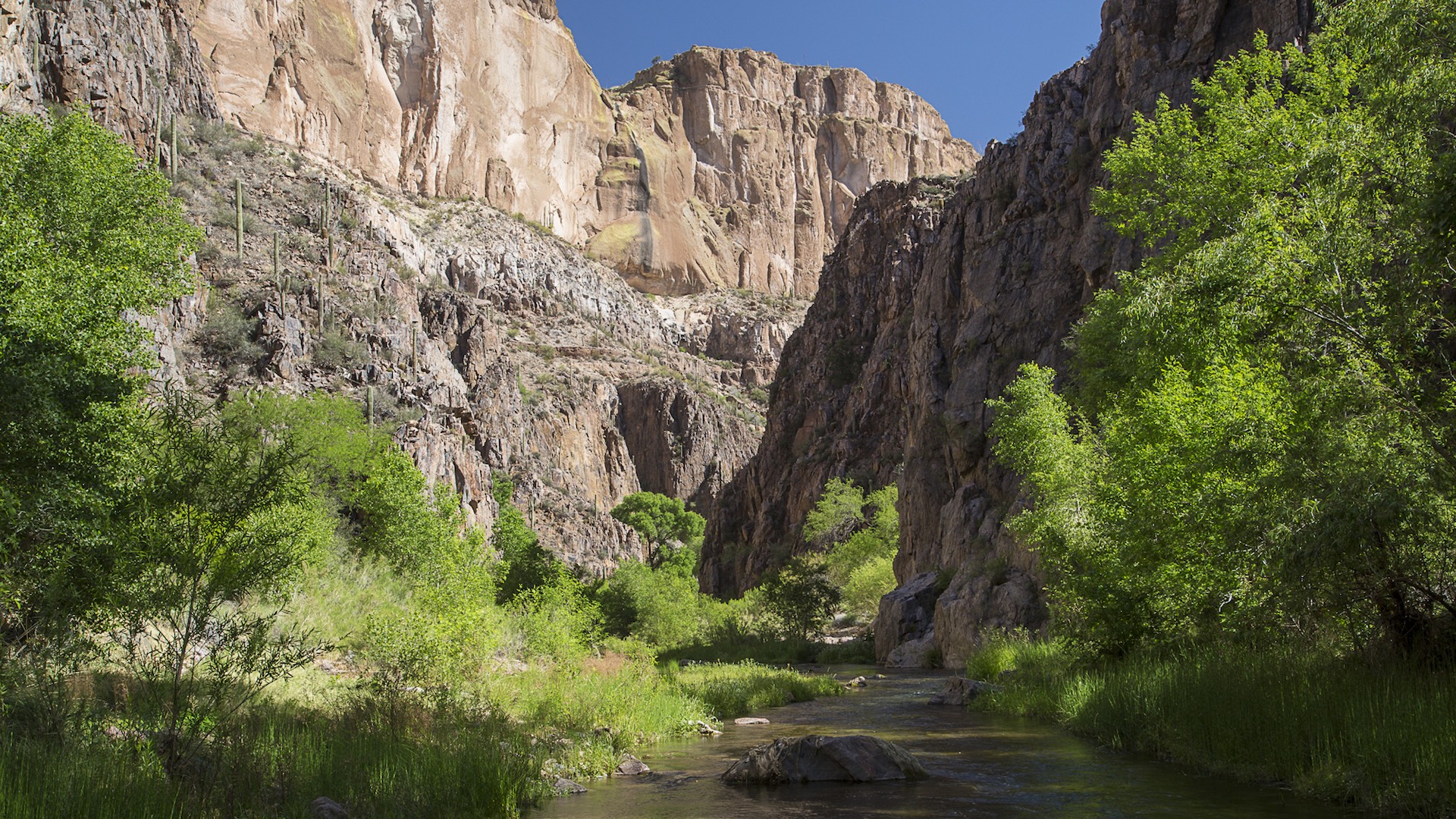 The Aravaipa Canyon Wilderness west of Safford.