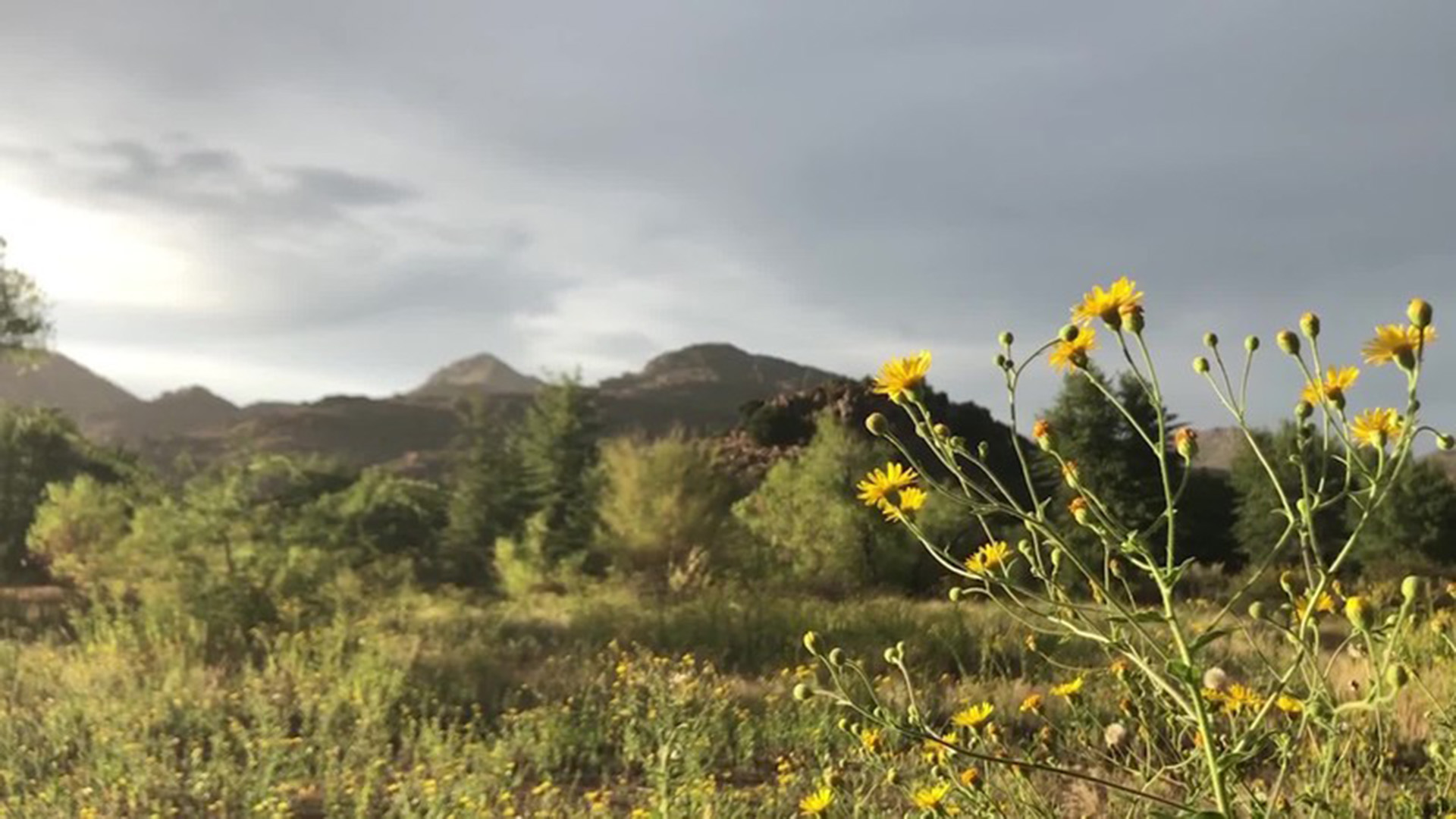 A scene from the Oak Flat campground, a site sacred to Apache peoples and the epicenter of lawsuits trying to block the development of a large copper mine.