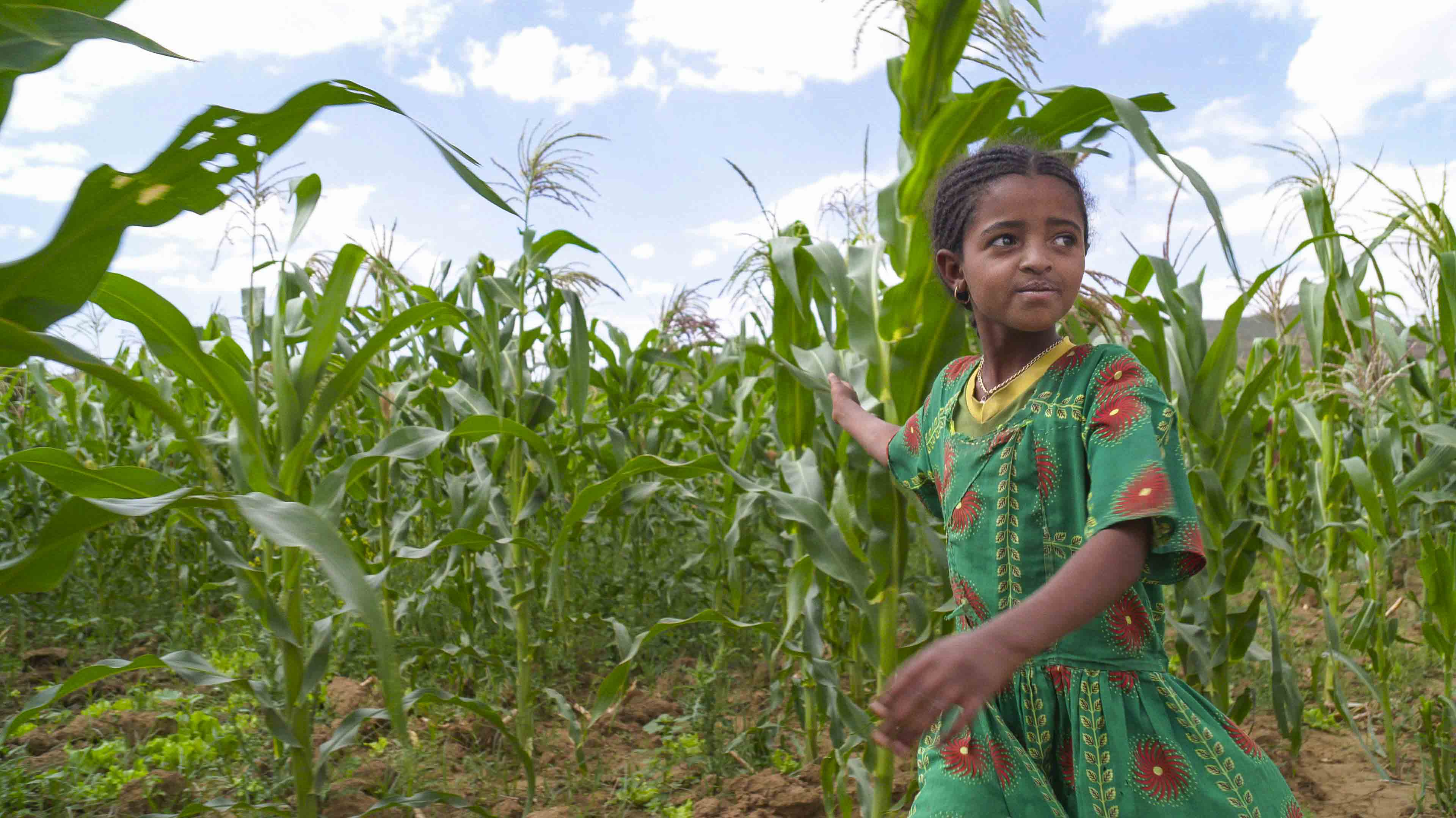 Rick Steves Hunger and Hope: Lessons from Ethiopia and Guatemala