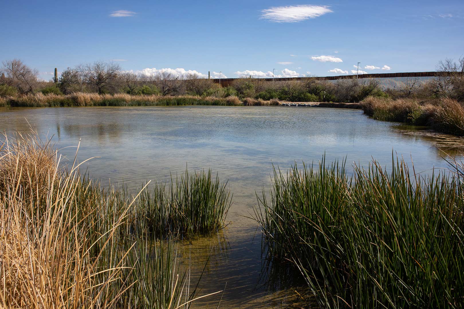 Quitobaquito Springs