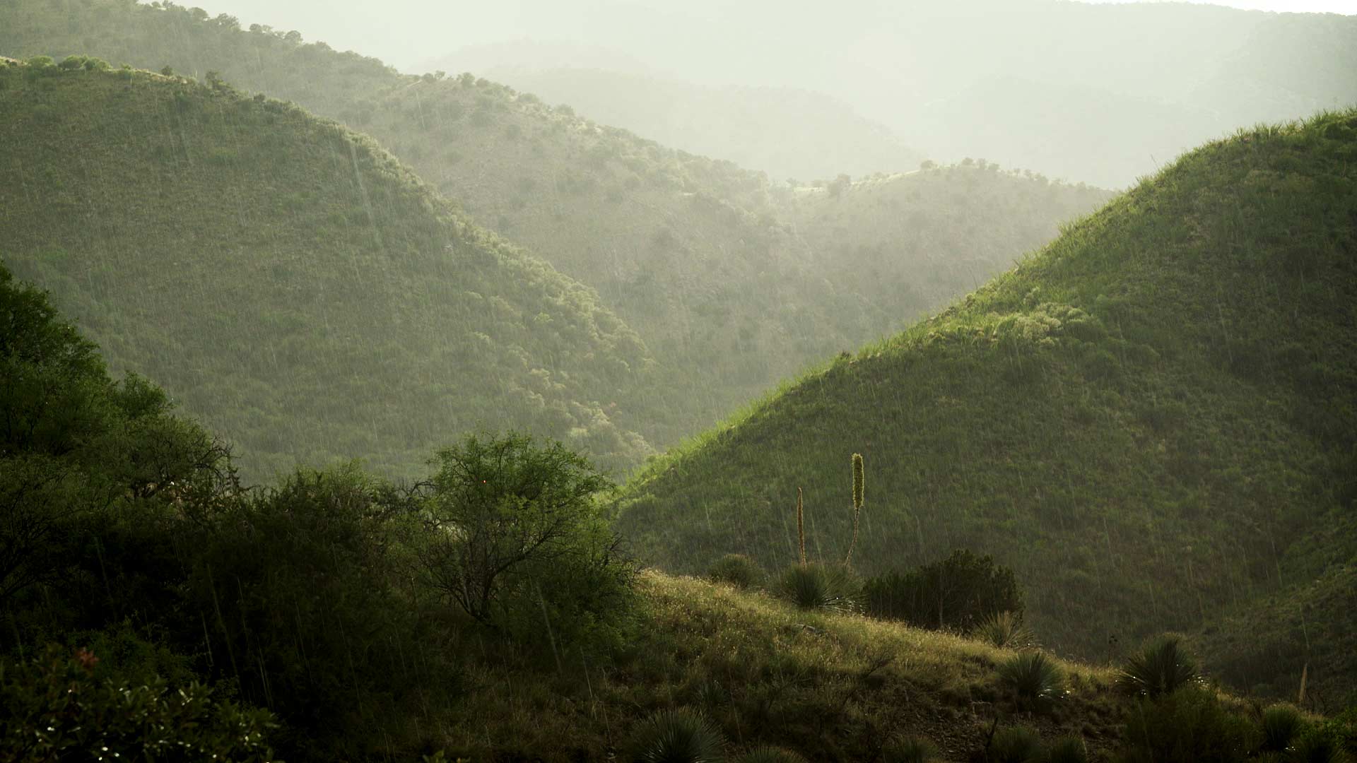 360 saguaro national park monsoon