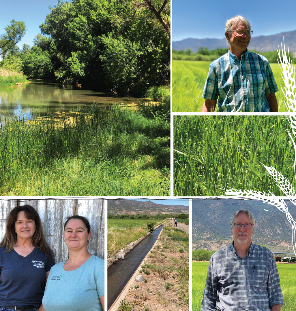 arizona agriculture water unsized