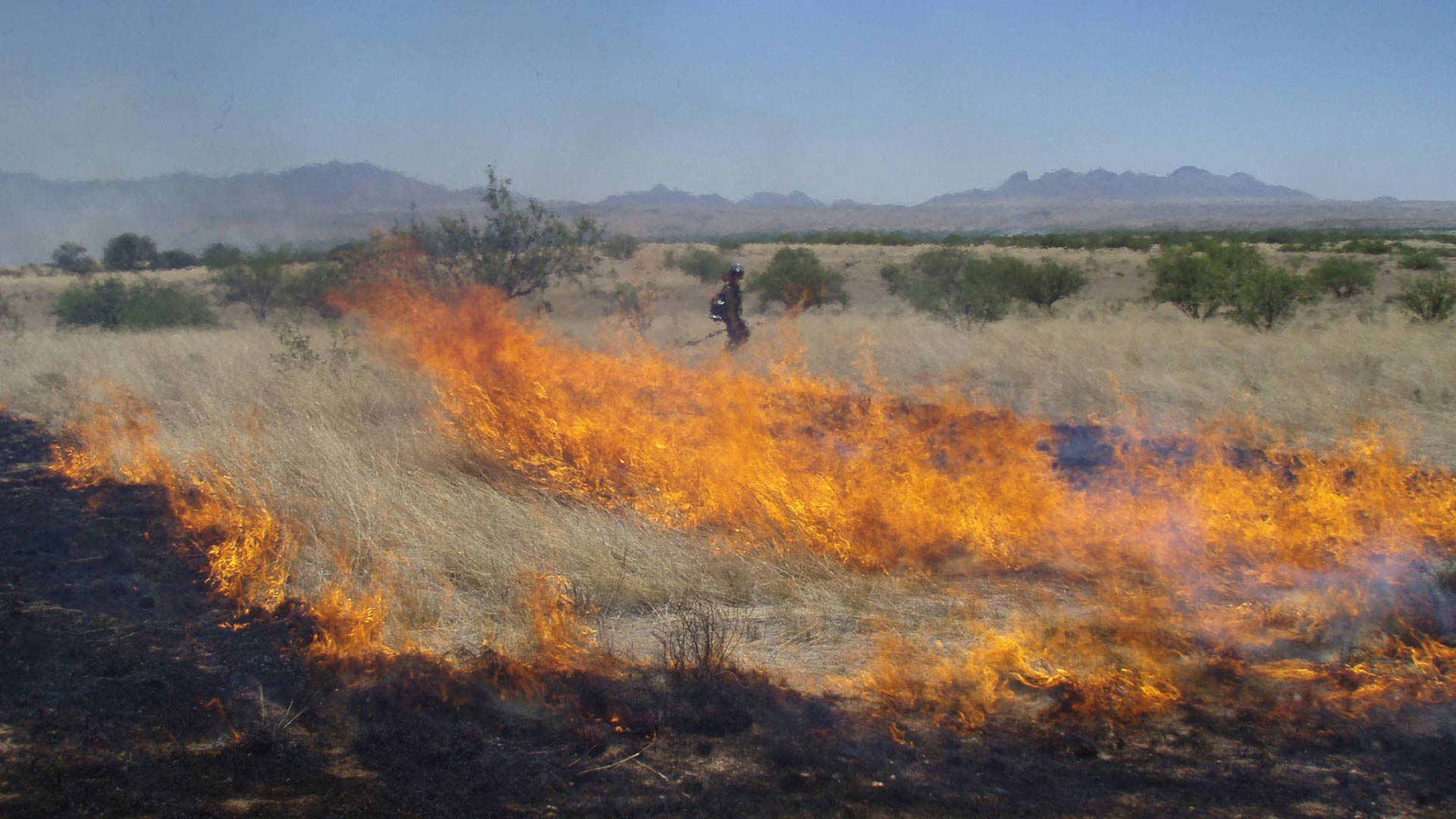 The Bureau of Land Management used prescribed burns across many of its properties for habitat improvement and to reduce the risk of severe wildfires.