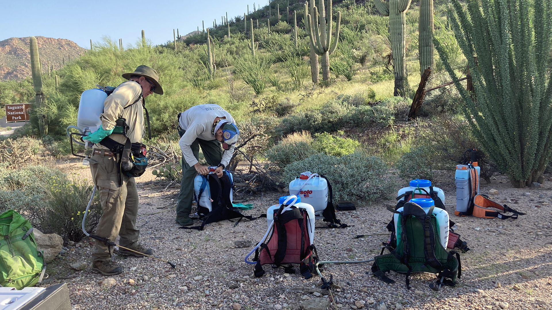 Buffelgrass 2021 SNP backpacks