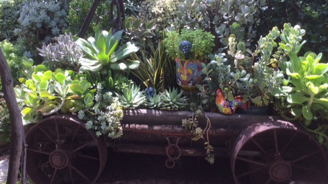 bisbee bloomers wagon