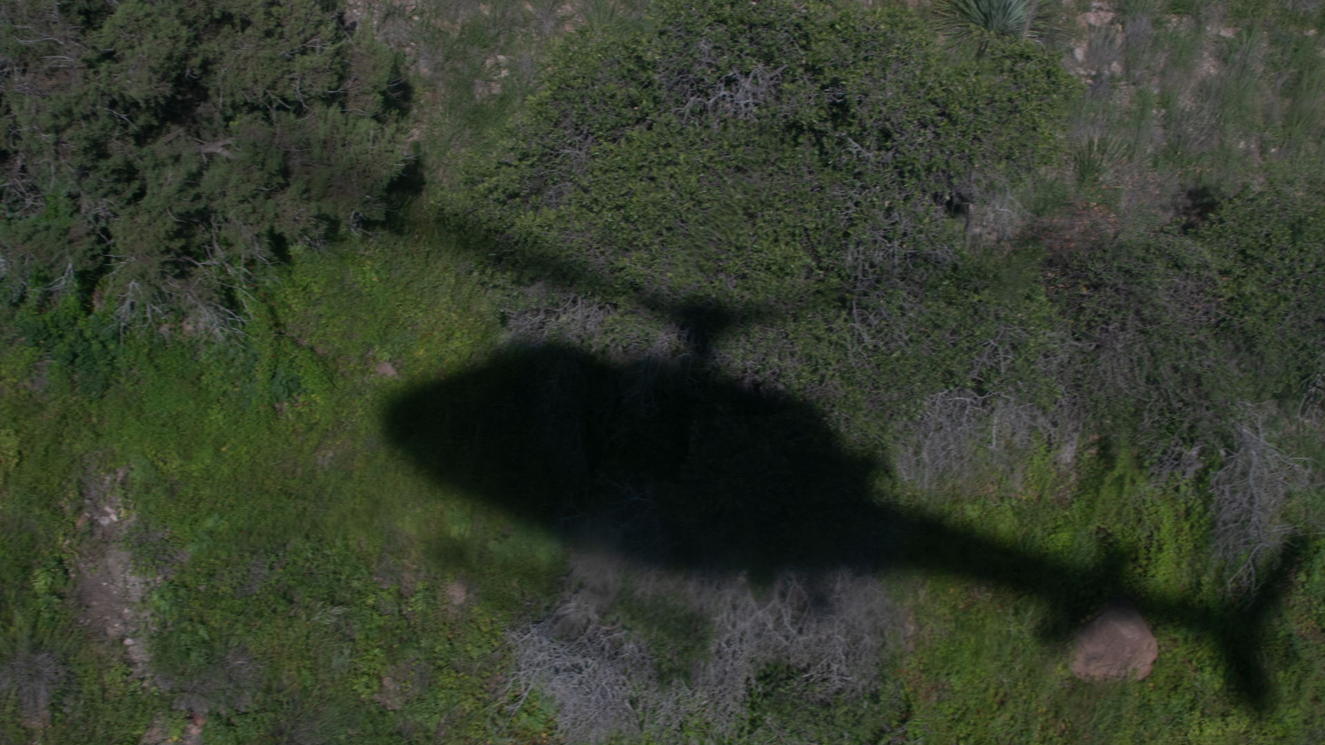 Border Patrol Helicopter Shadow