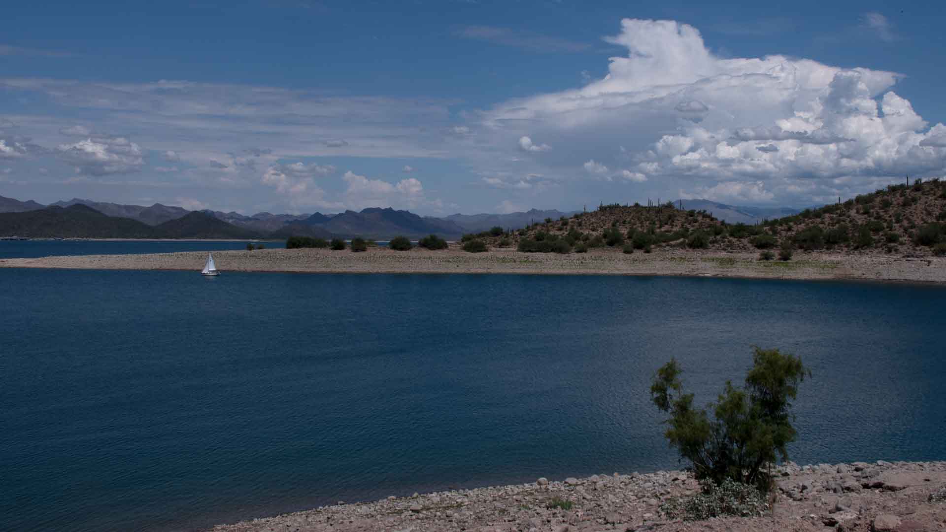 Lake Pleasant, north of Phoenix, is a major reservoir for Colorado River water.  Each summer the lake is pumped down to send water to Maricopa, Pinal, and Pima counties. July 2021