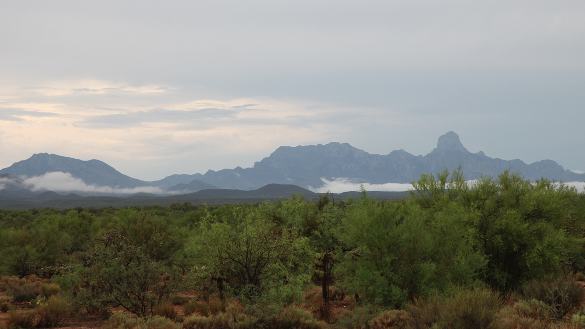 Landscape near the Tohono O'odham Community College in the Tohono O'odham Nation after a morning rain in July 2021.