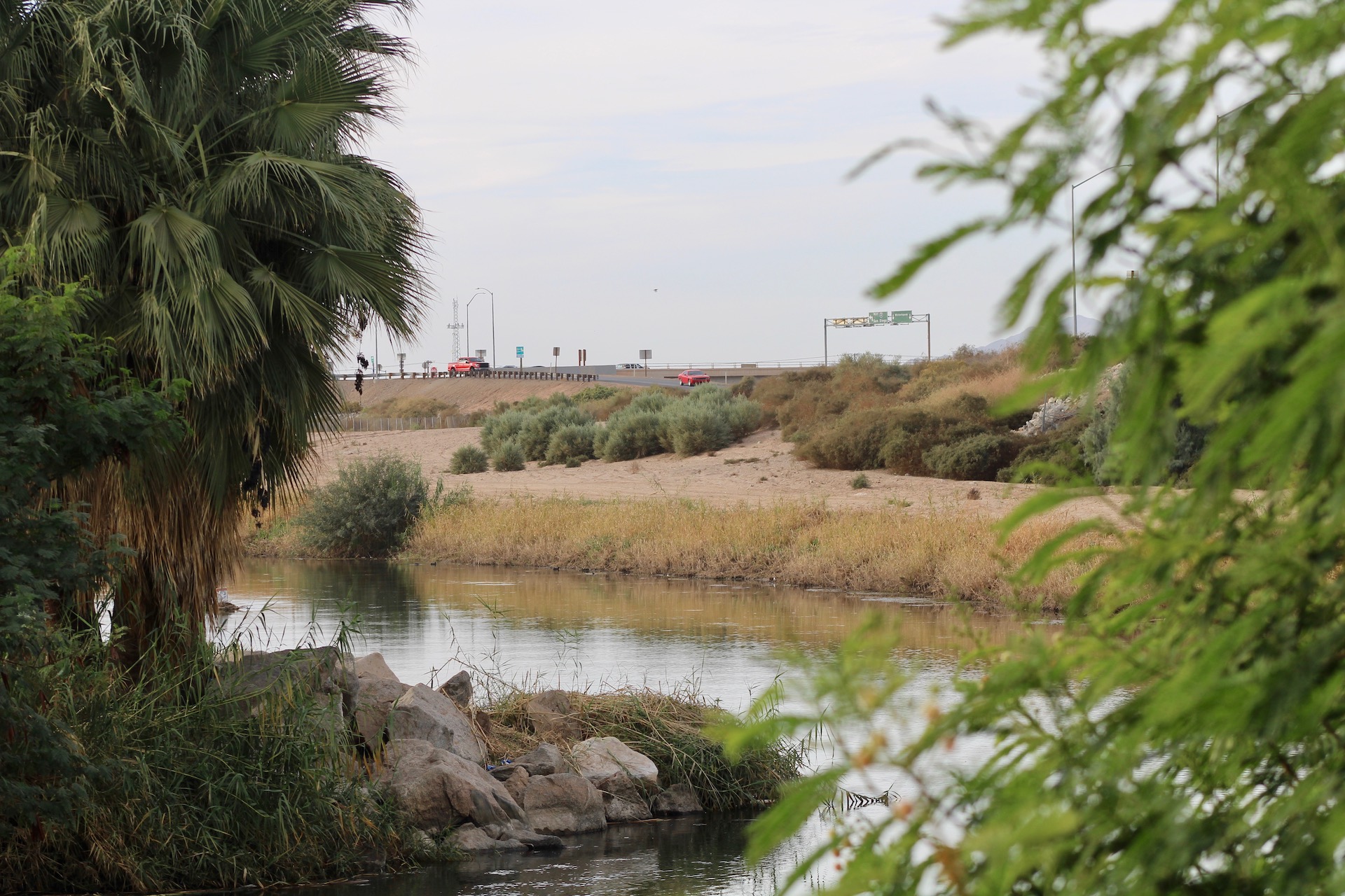 colorado river at yuma