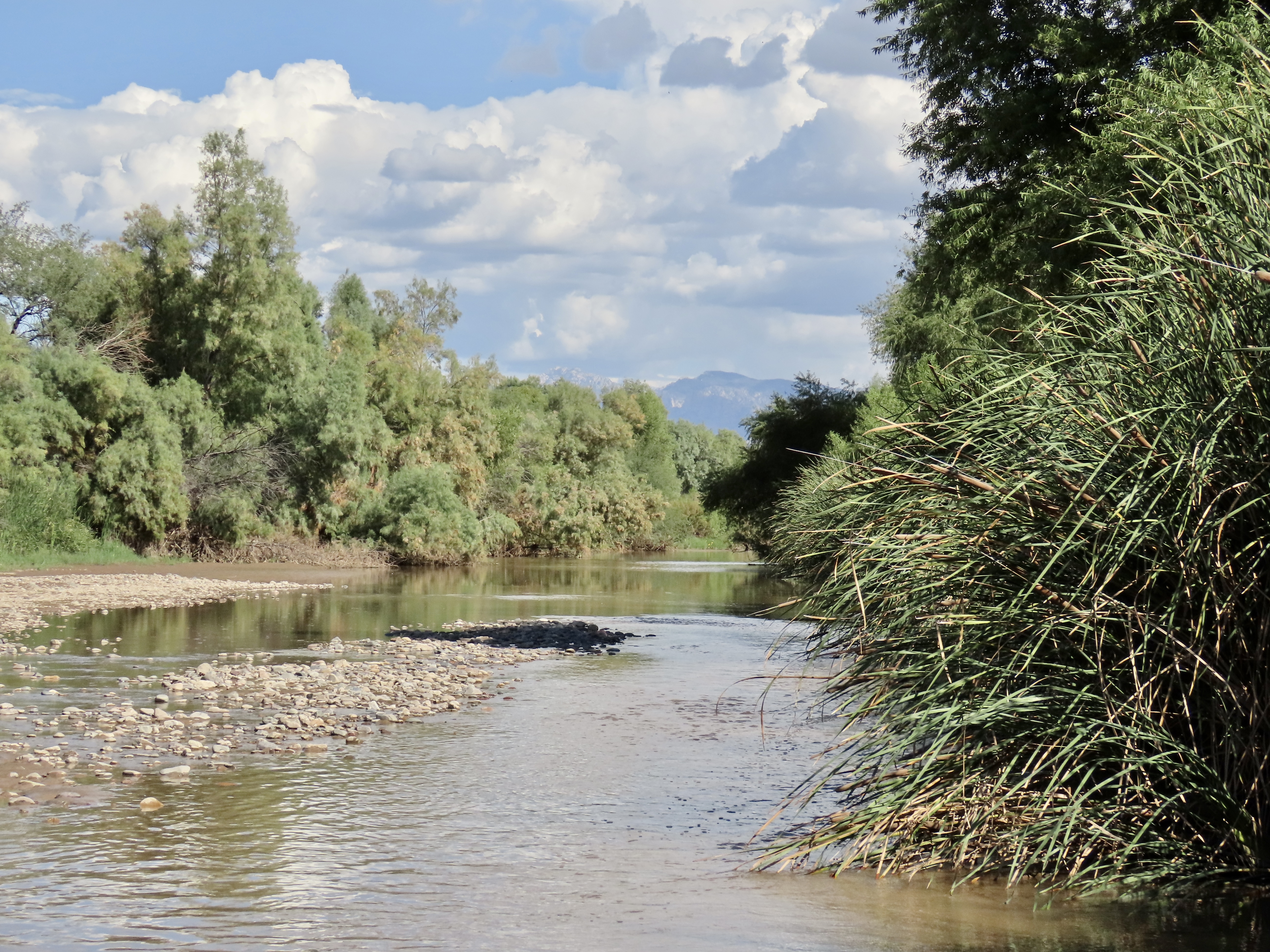 Santa Cruz River