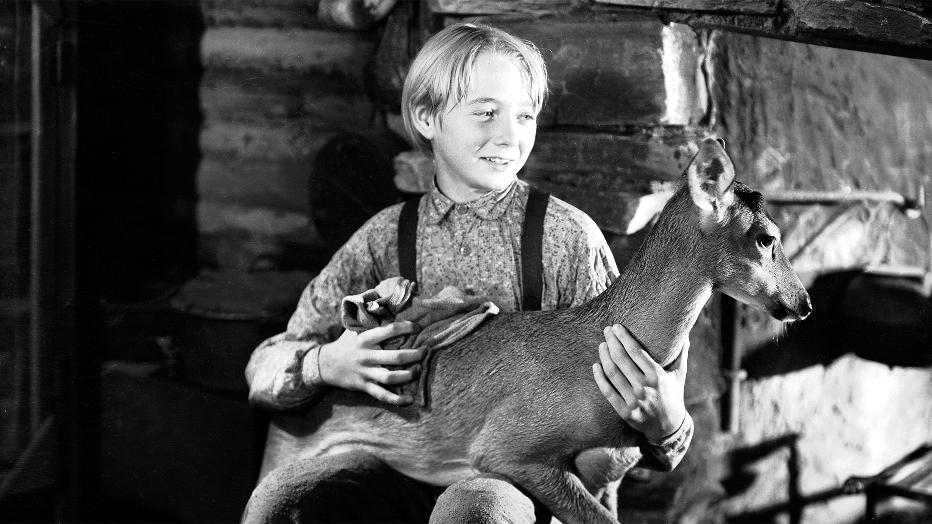 Hollywood at Home: The Yearling