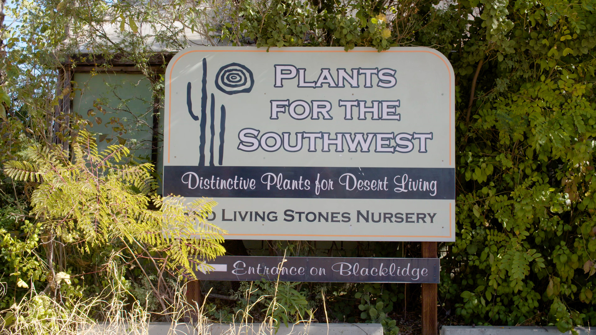 Plants for the Southwest