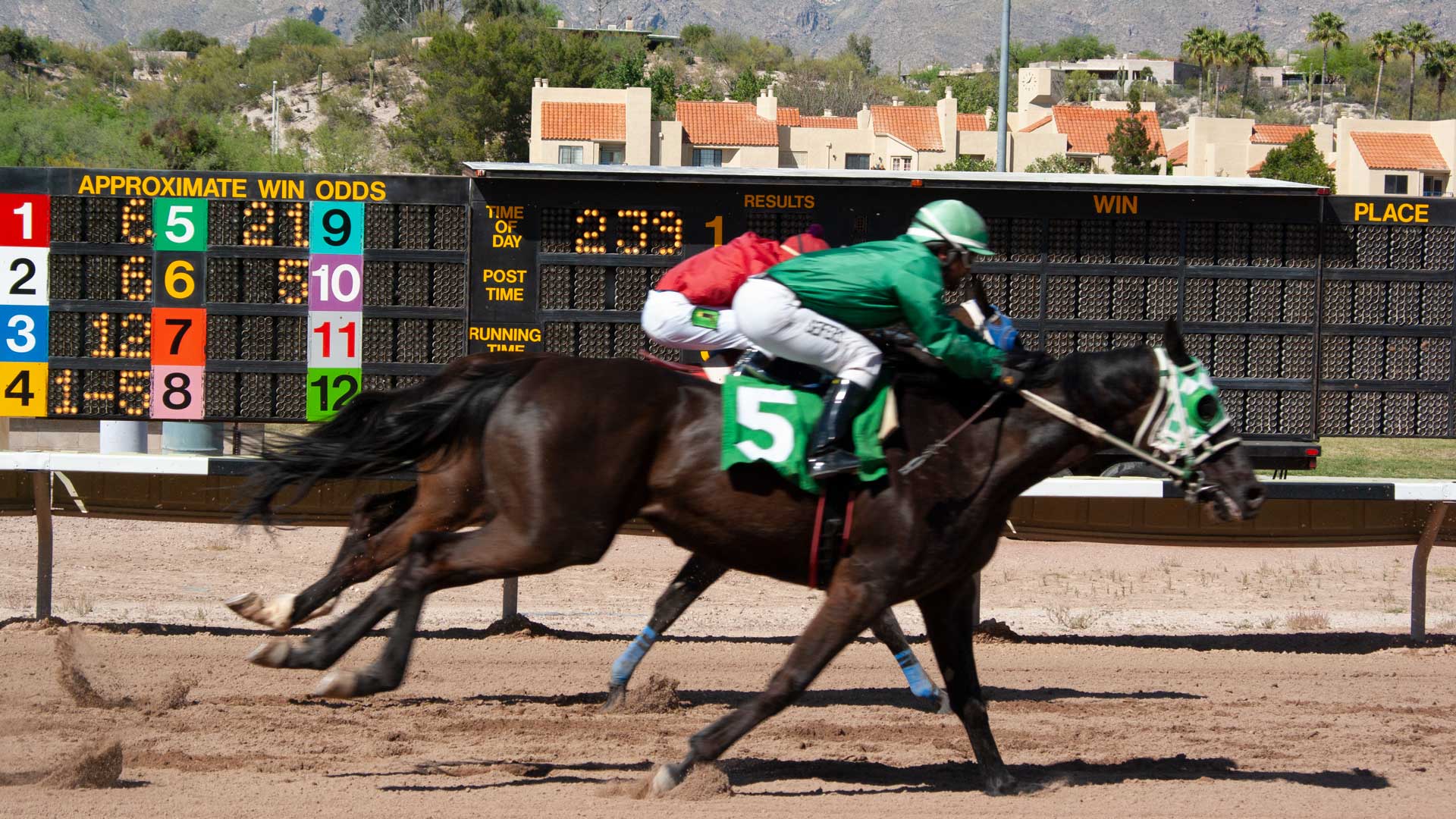 Horses stretch for the finish line at Rillito Downs in Tucson.