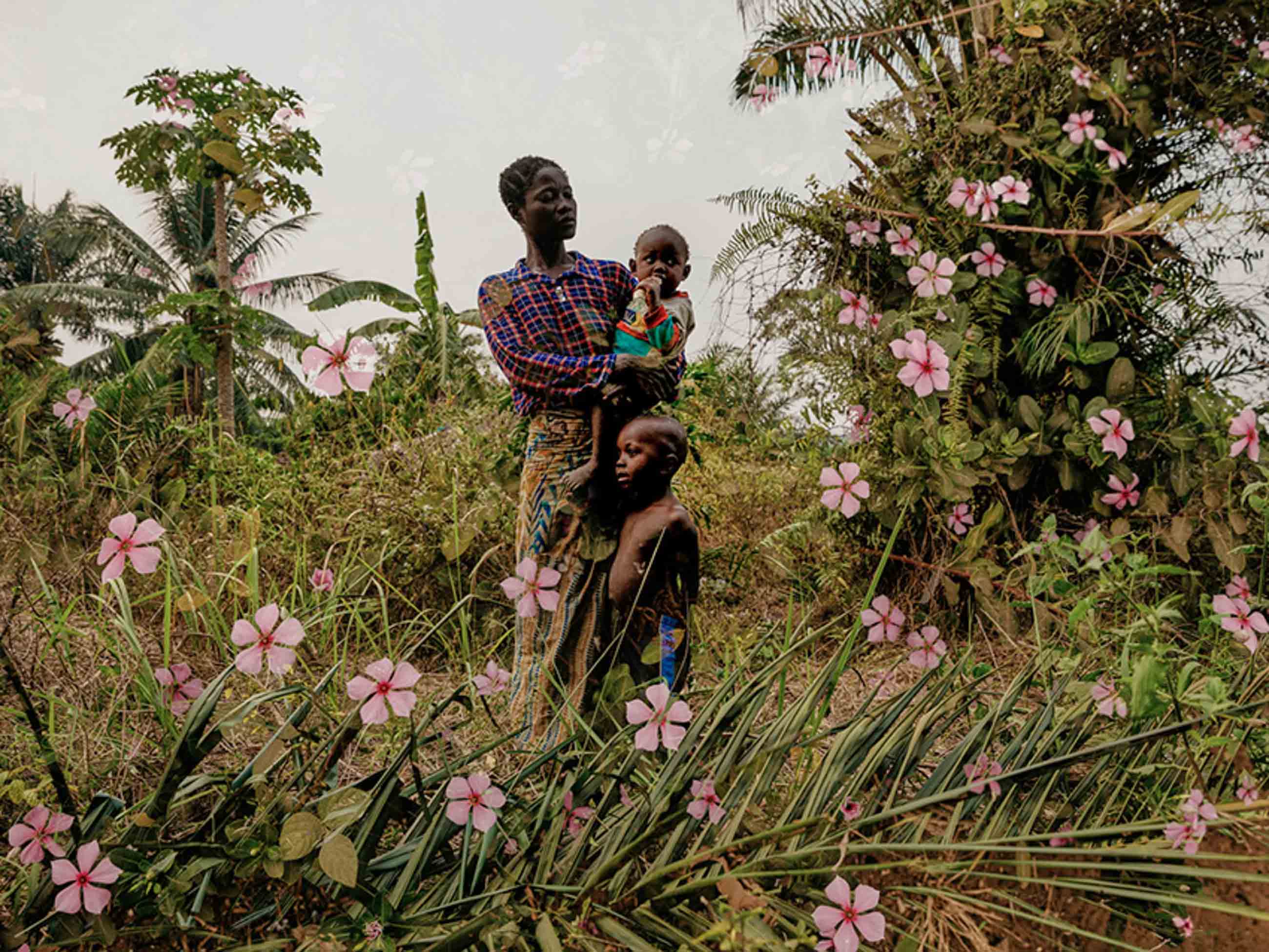 npr news sony photo awards 11