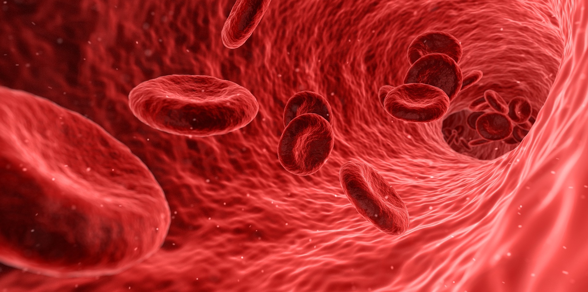 Red bood cells