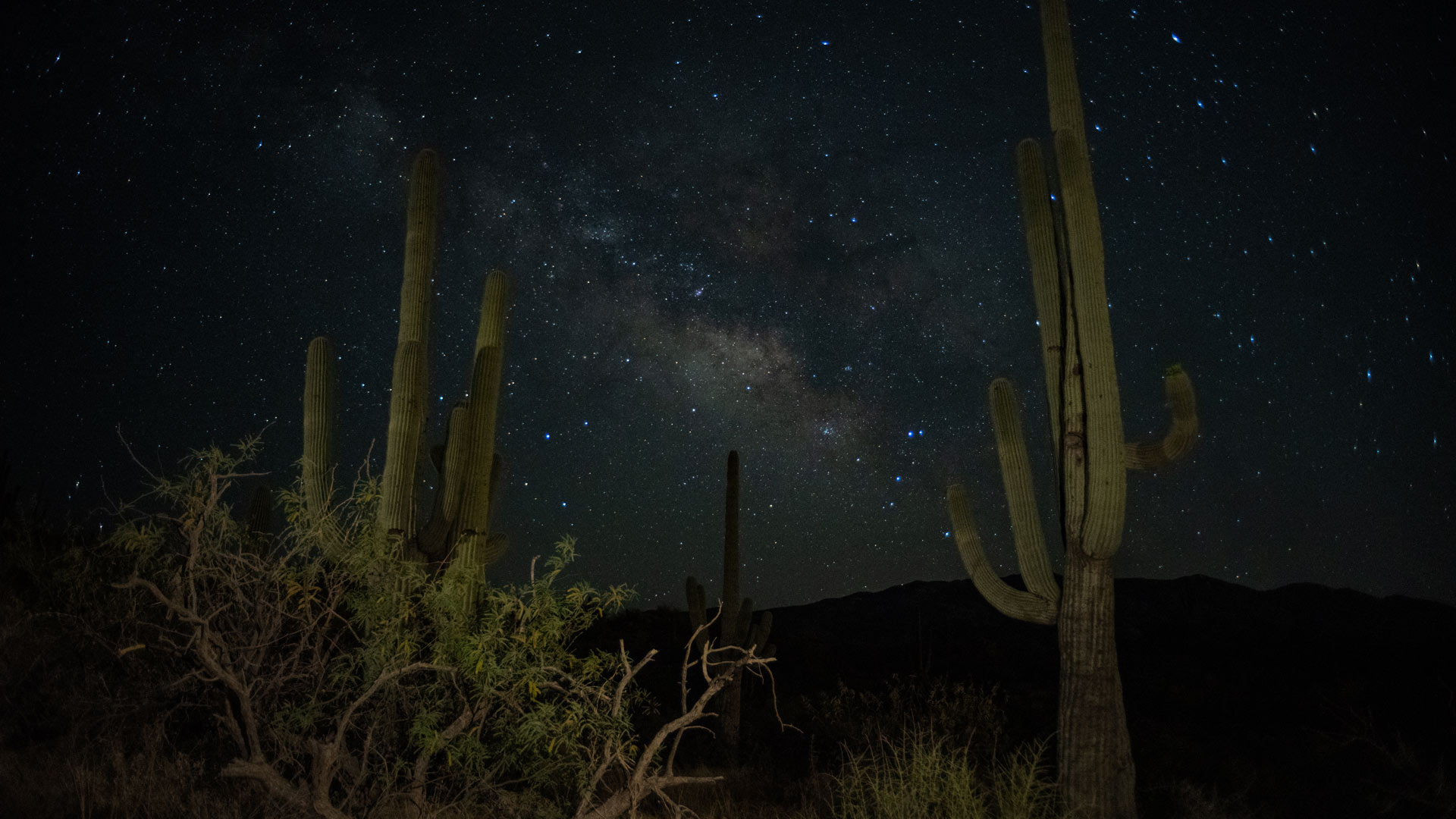 The Milky Way seen from Reddington Pass east of Tucson. May 2022