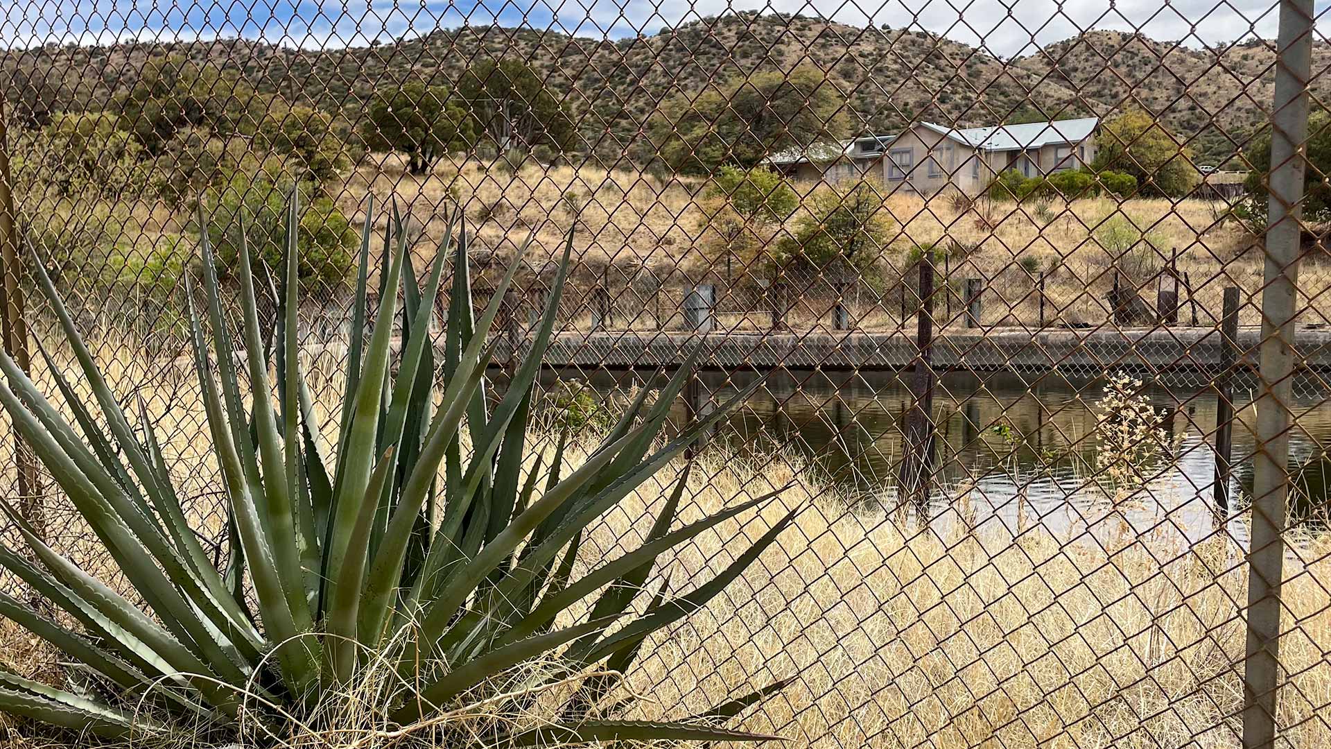 A reservoir sits high in the hills of Bisbee. The water here goes to fighting fires in town, and city officials are looking to replace it with a more up-to-date system. 