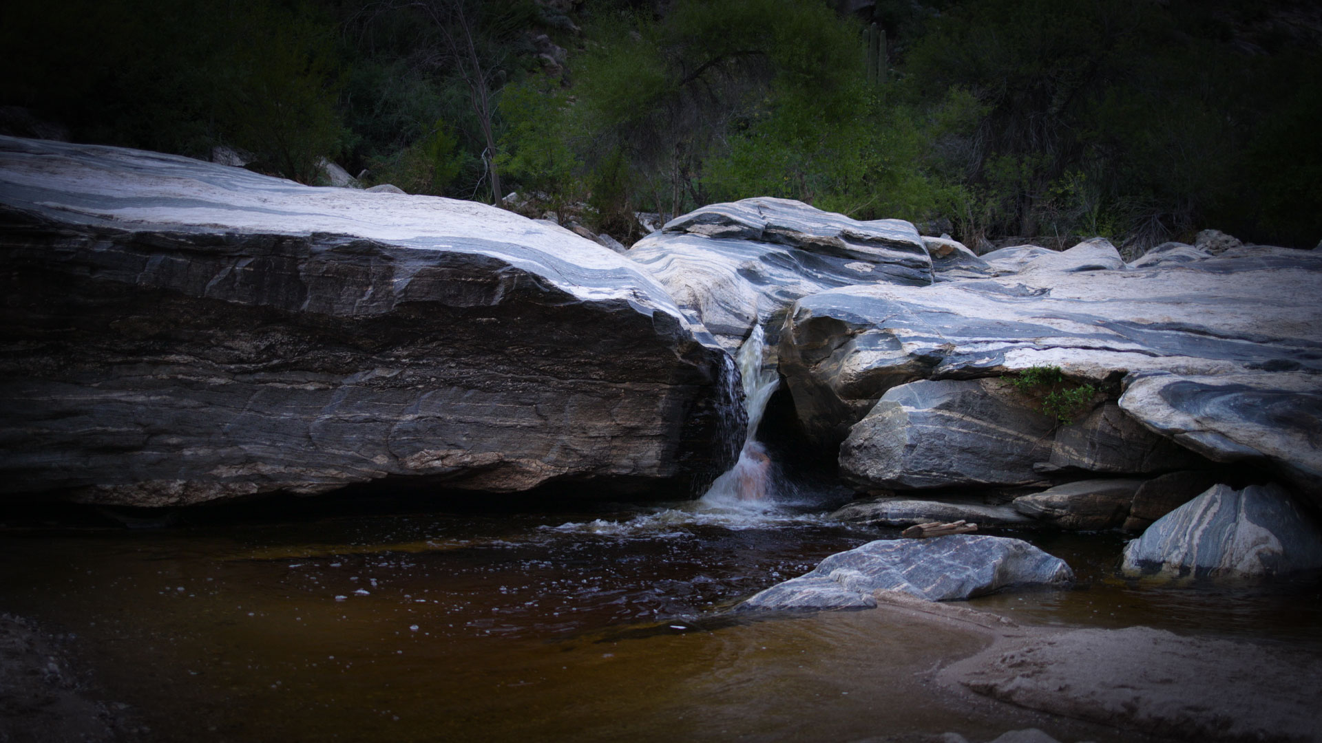 A scene from 2023 Regional Murrow Award-winning story, WATER HARVESTER: AN INVITATION TO ABUNDANCE.