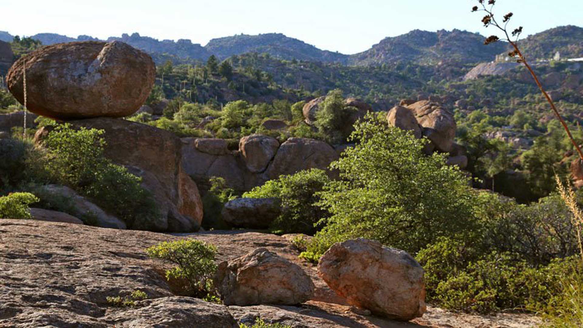 Oak Flat, near where a copper mine is proposed, is dotted with rugged boulders and desert vegetation. 