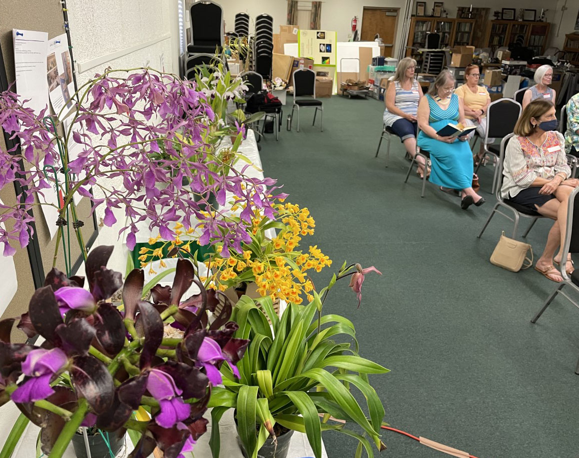 orchid society meeting