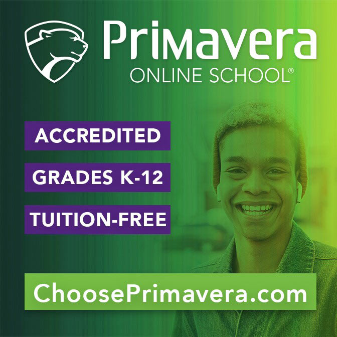 Primavera Online School