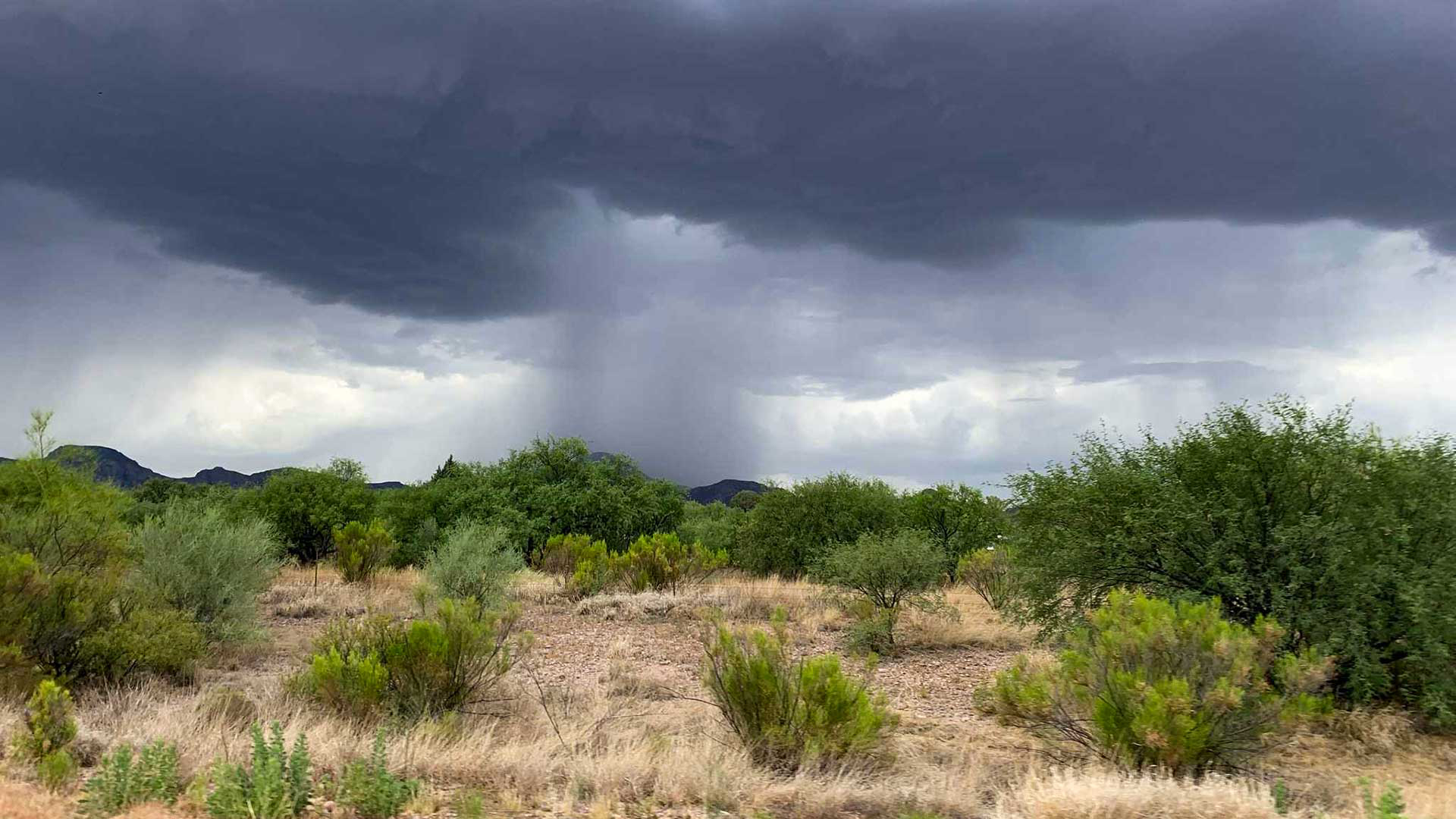 Monsoon rainshower.