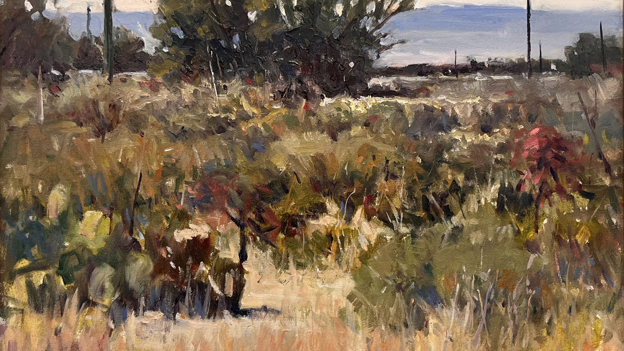 "Painting In, Painting Out": The world as seen by the Sonoran Plein Air Painters.