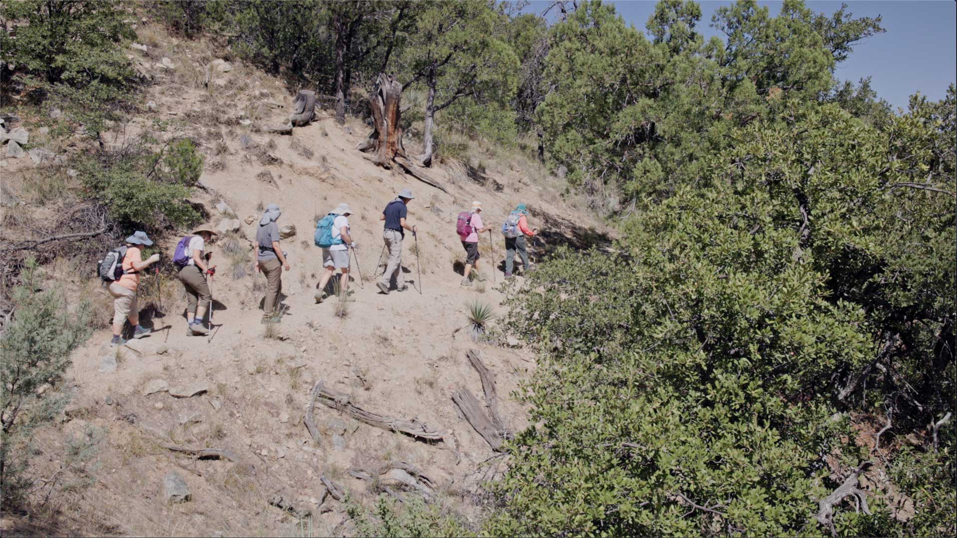 Southern Arizona Hiking Club