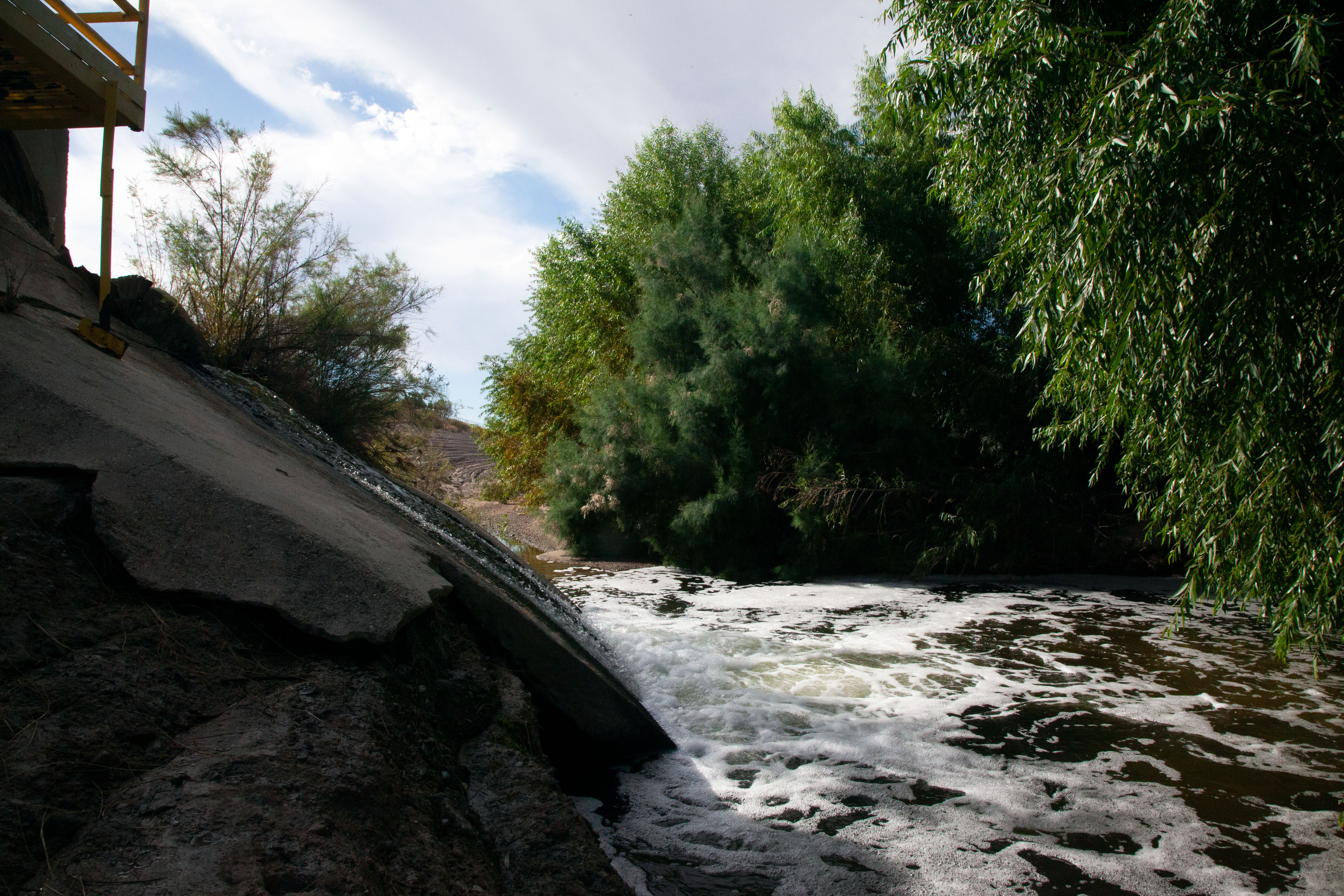 Reviving the Santa Cruz River: A decade of clean waters and ecological resurgence