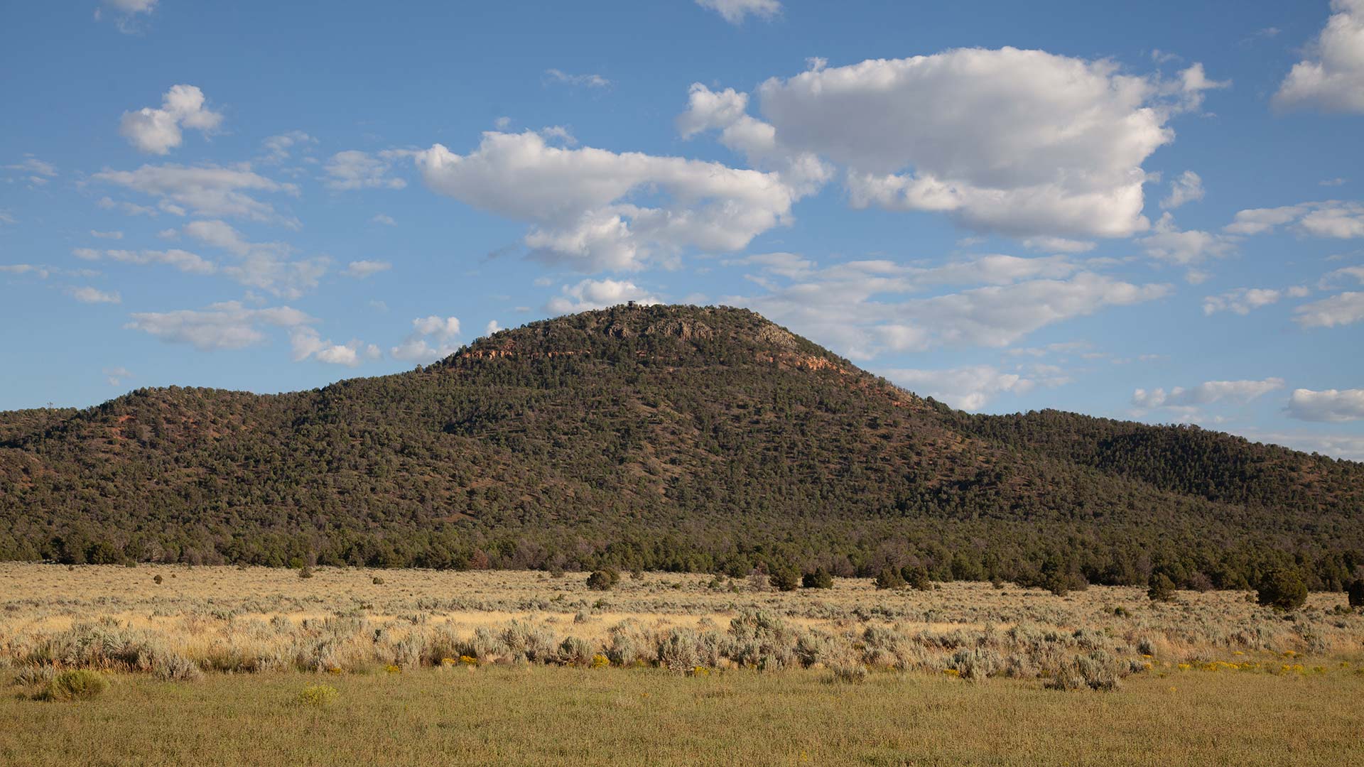 Rocky Plateau Fight Background