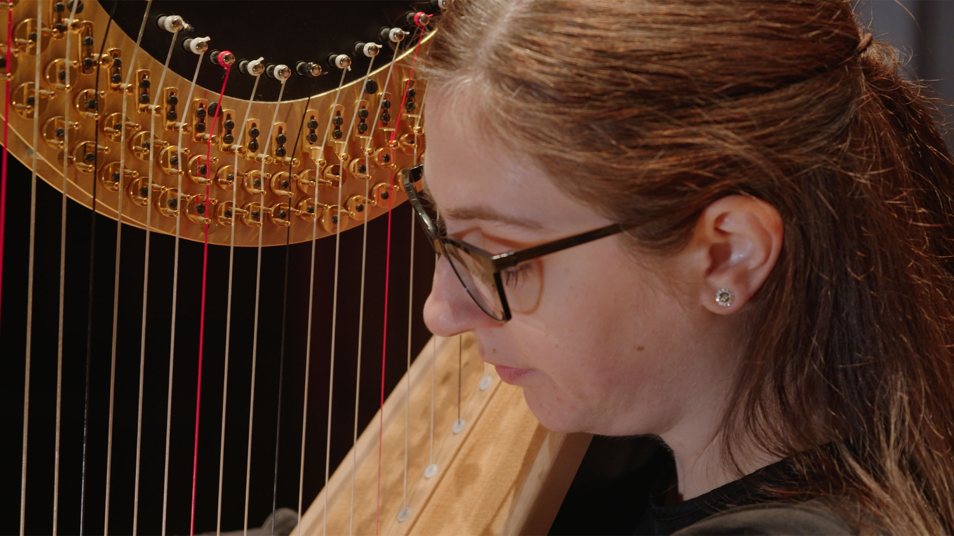 Carla Fabris: Harpist