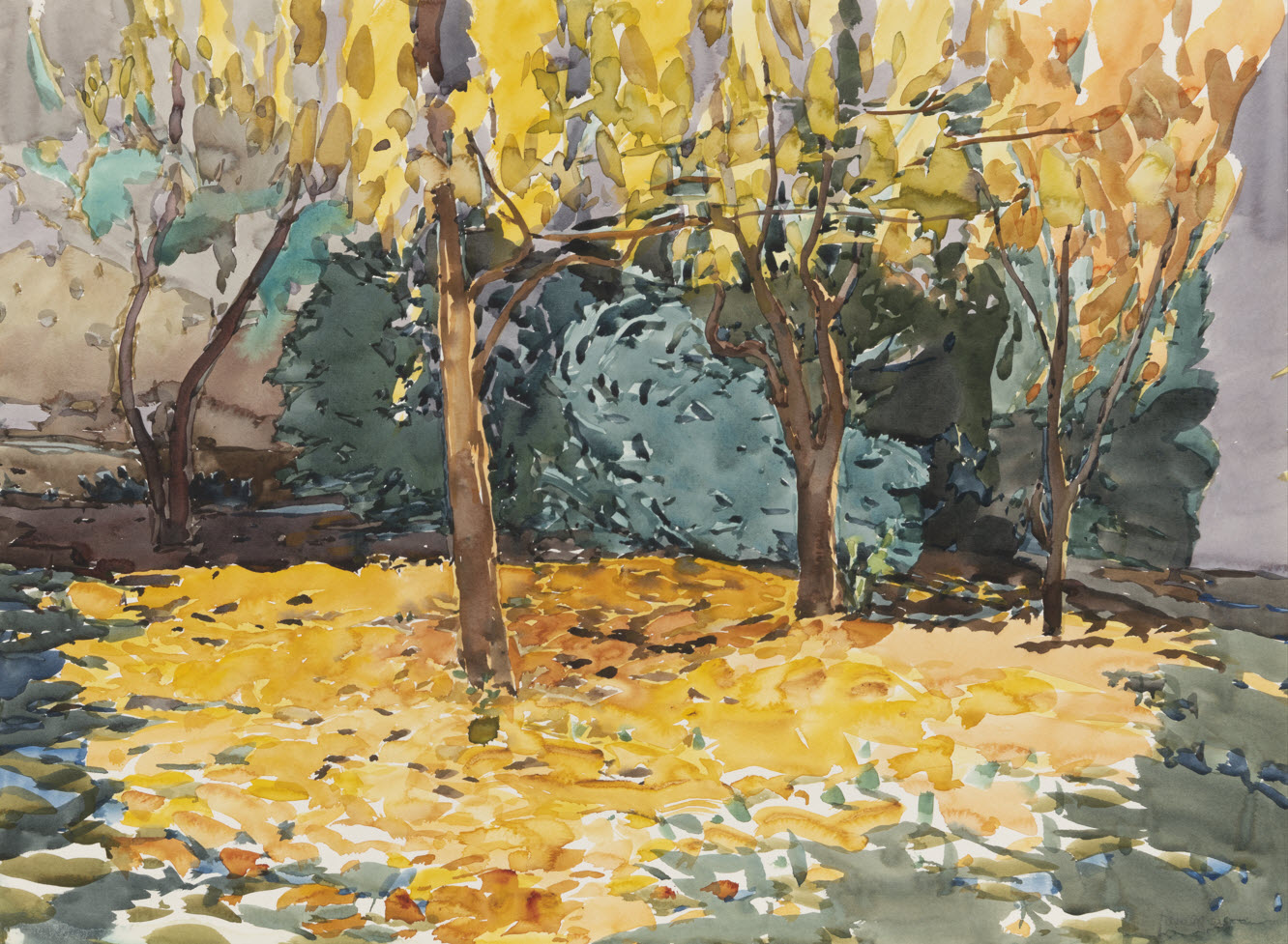 Late afternoon under the tree canopy near the Boyce Thompson picnic area.
Boyce Thompson Arboretum by Bruce McGrew, c. 1980. Watercolor, 22 in. x 30 in.