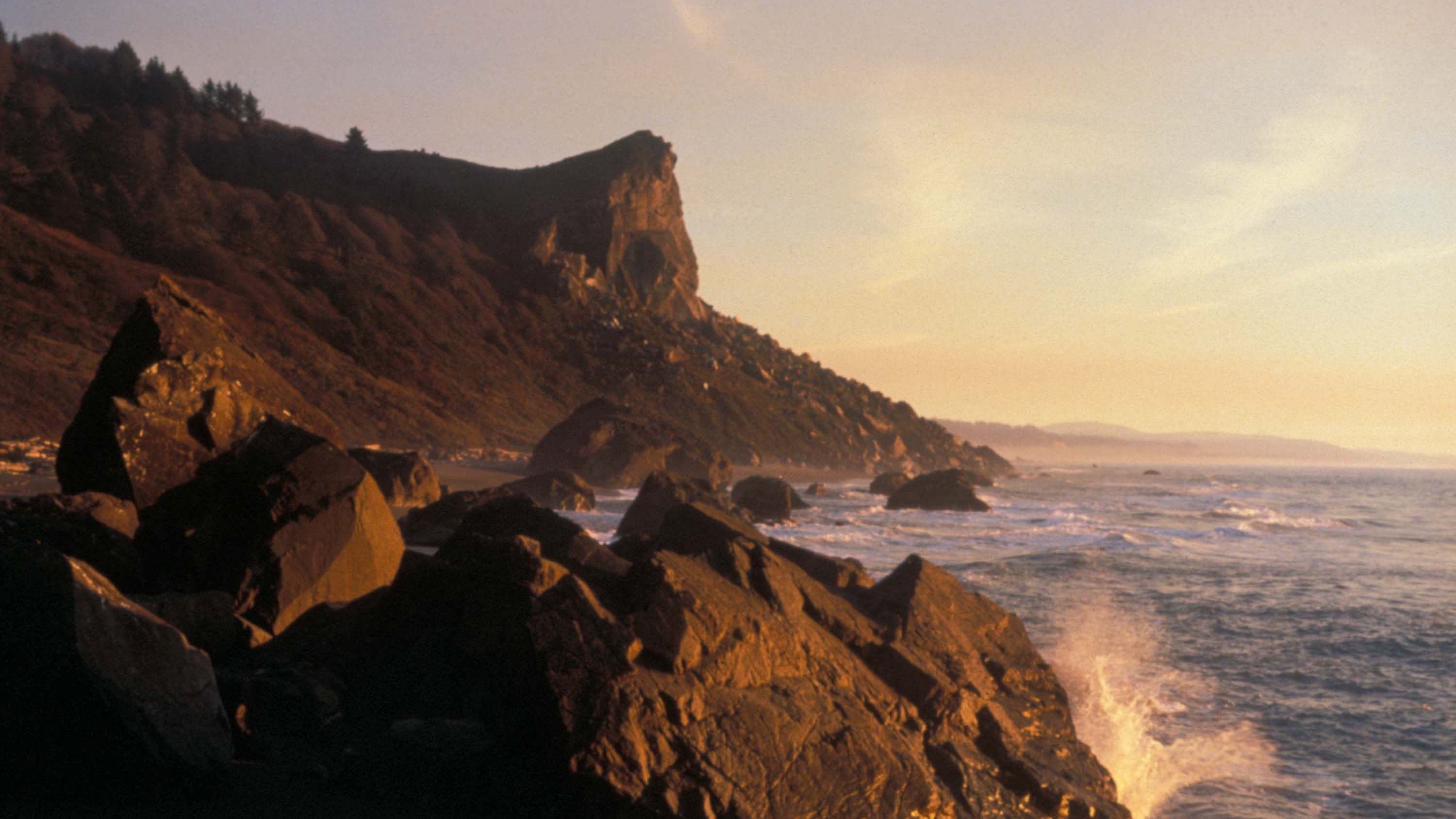 Redwood Natl Park coast 