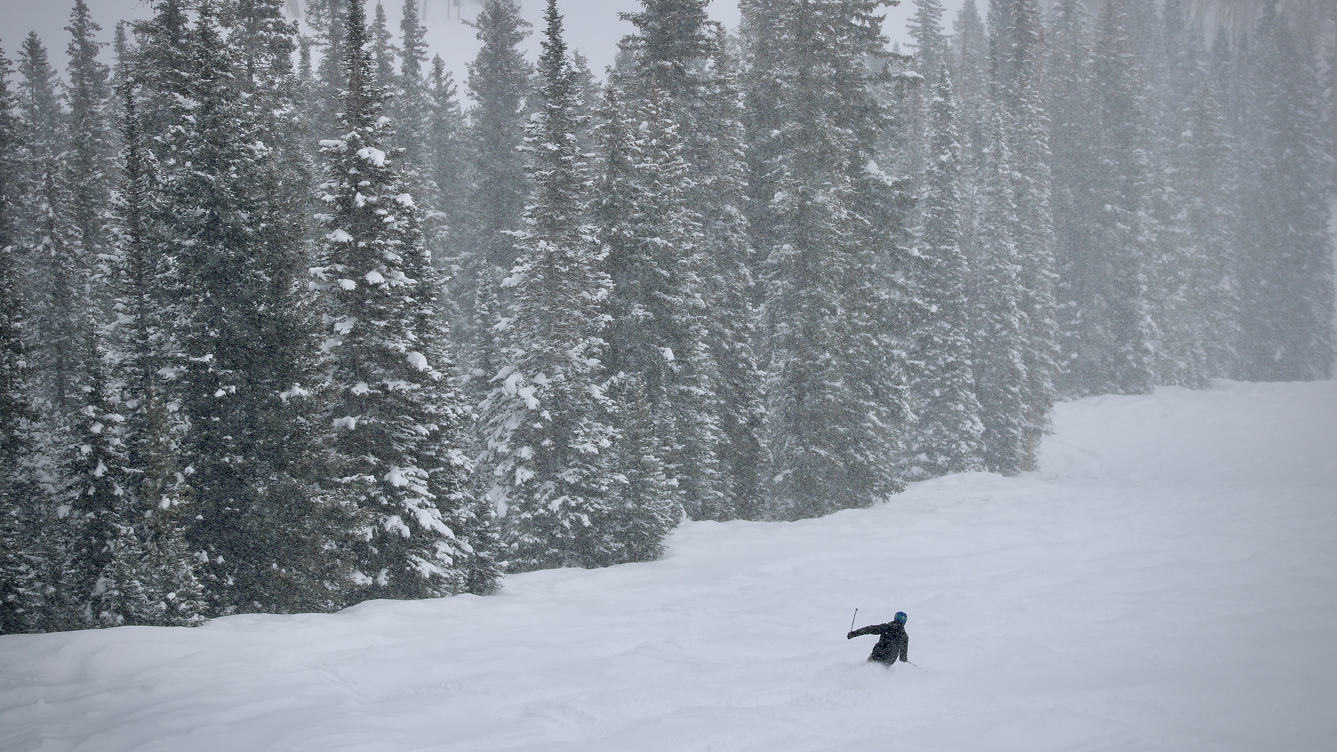 A skier cruises down Snowmass ski area, where January brought heavy snow to the mountains that supply the majority of the Colorado River's water. Scientists say this could provide a temporary boost to shrinking reservoirs.