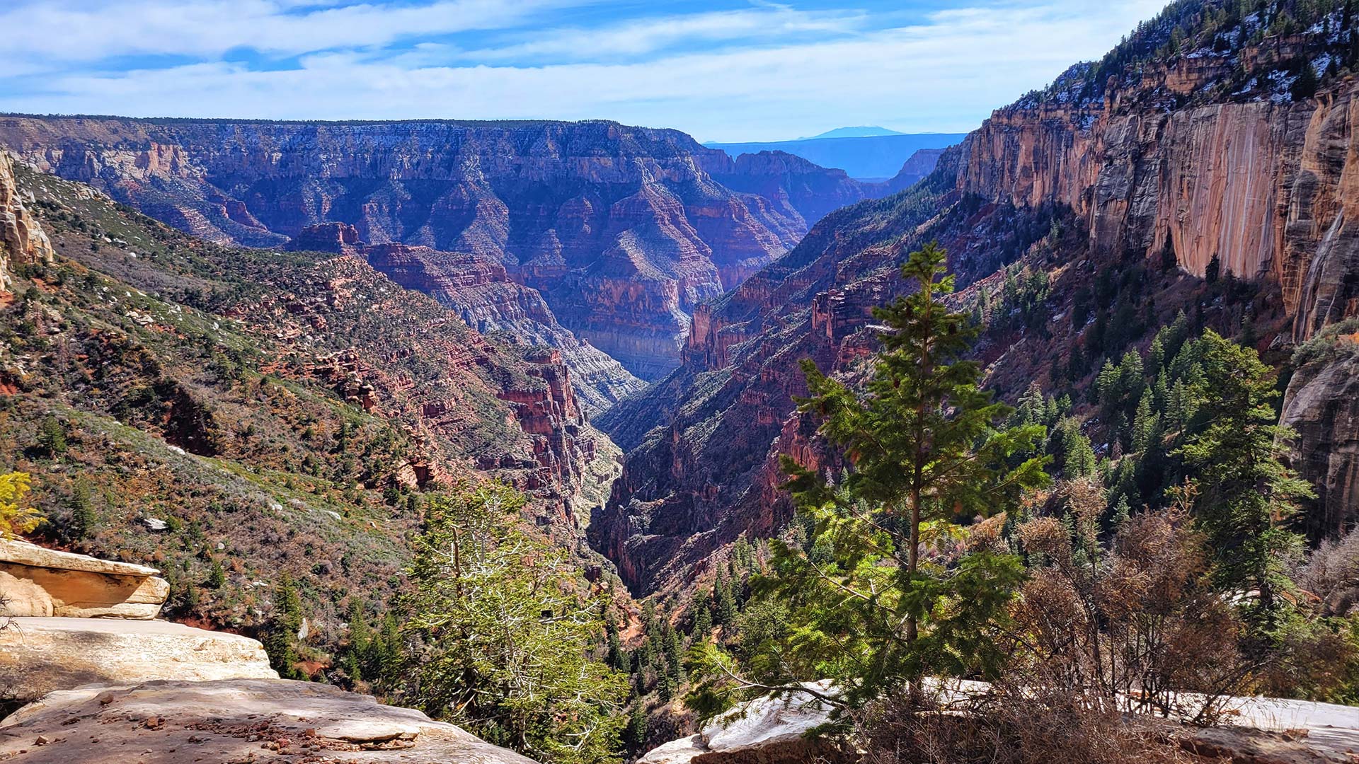 A view from Coconino Overlook at the north rim of the Grand Canyon.