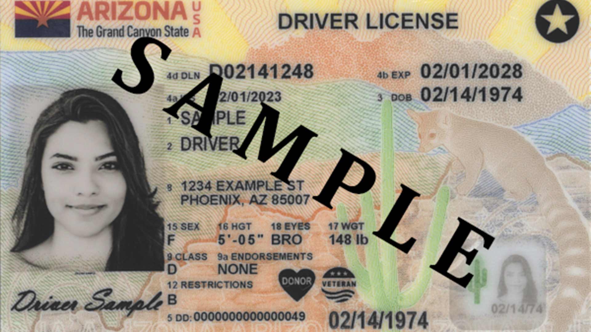 New Arizona driver license design beginning March 2023.