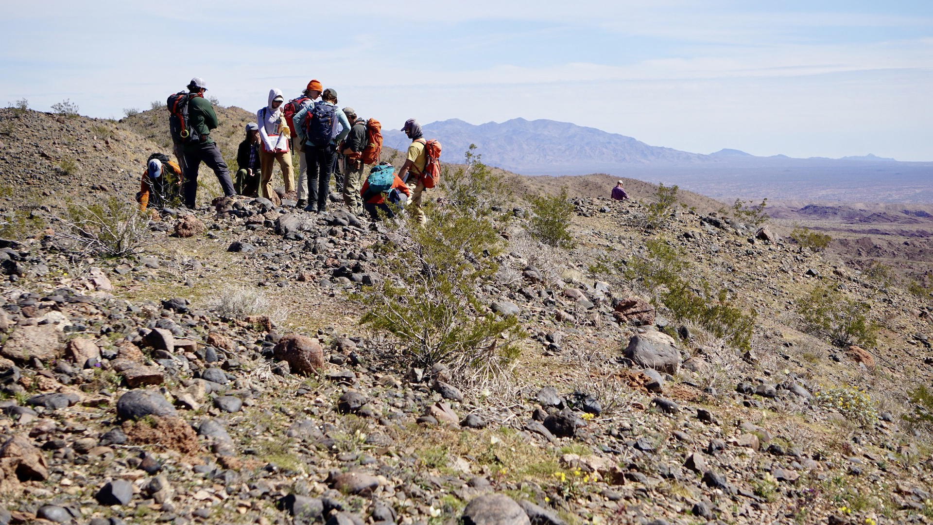 UA Geosciences professor Paul Kapp leads a regional structural geology class in the Orocopia Mountains of southern California, March 2023.



