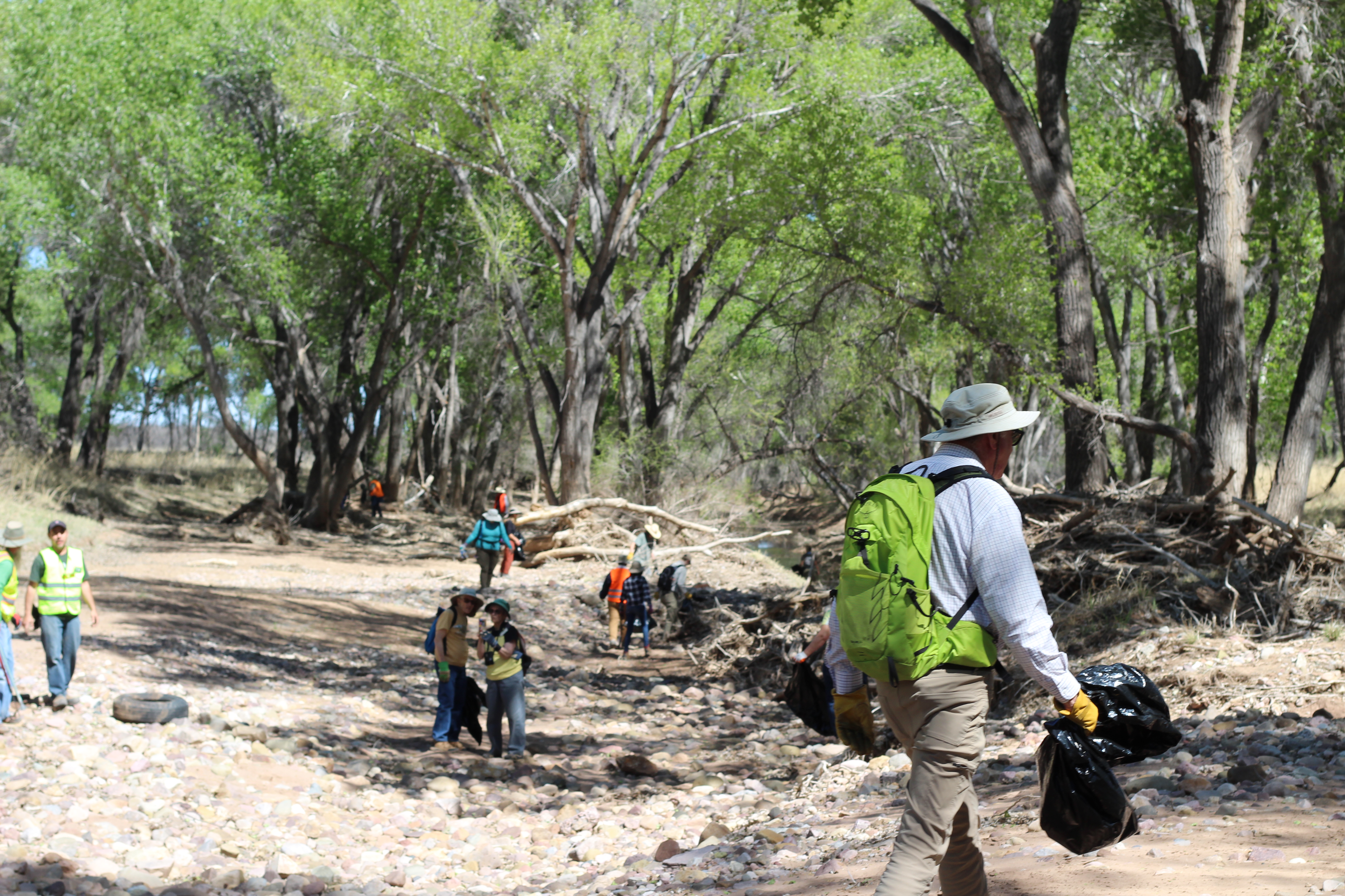 BioBlitz aims to clean up the border but also opens eyes - Vimarsana News