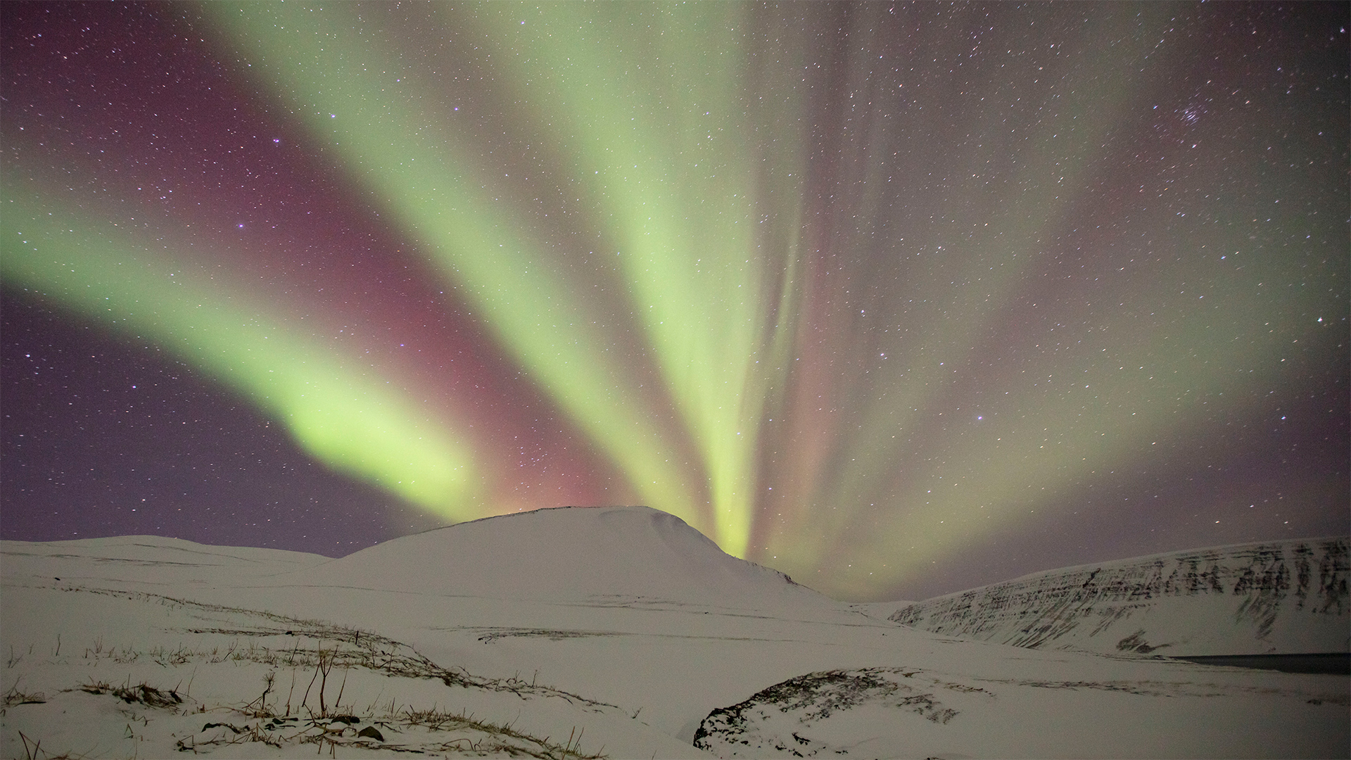 The Northern Lights, also known as the Aurora Borealis, light up the winter skies in Northern Iceland. (Westfjords, Iceland)