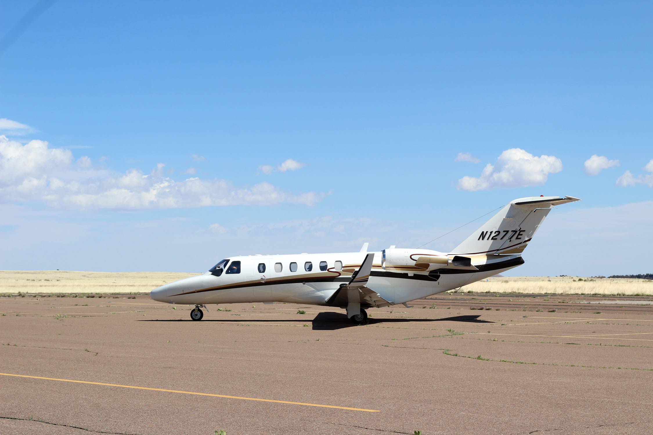 On Wednesday, May 10, five Mexican wolf pups arrived at the Springerville Municipal Airport, by way of private jet, courtesy of LightHawk Conservation Flying.