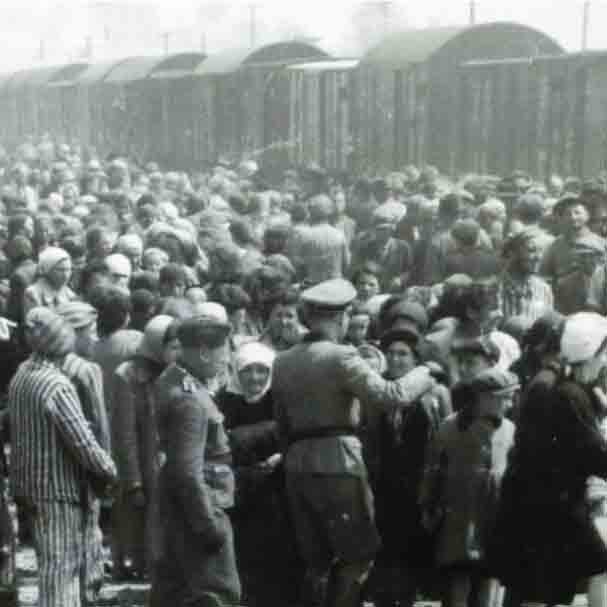 Jews waiting to board the cattle cars in Mechelen, a city between Brussels and Antwerp. Willy assumes his parents were taken here on the way to the concentration camps.