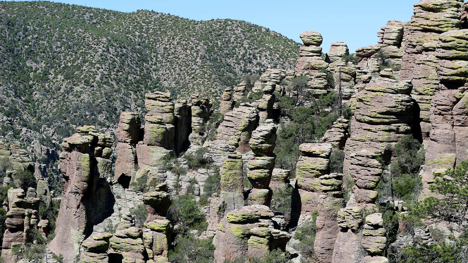 Chiricahua National Monument 1