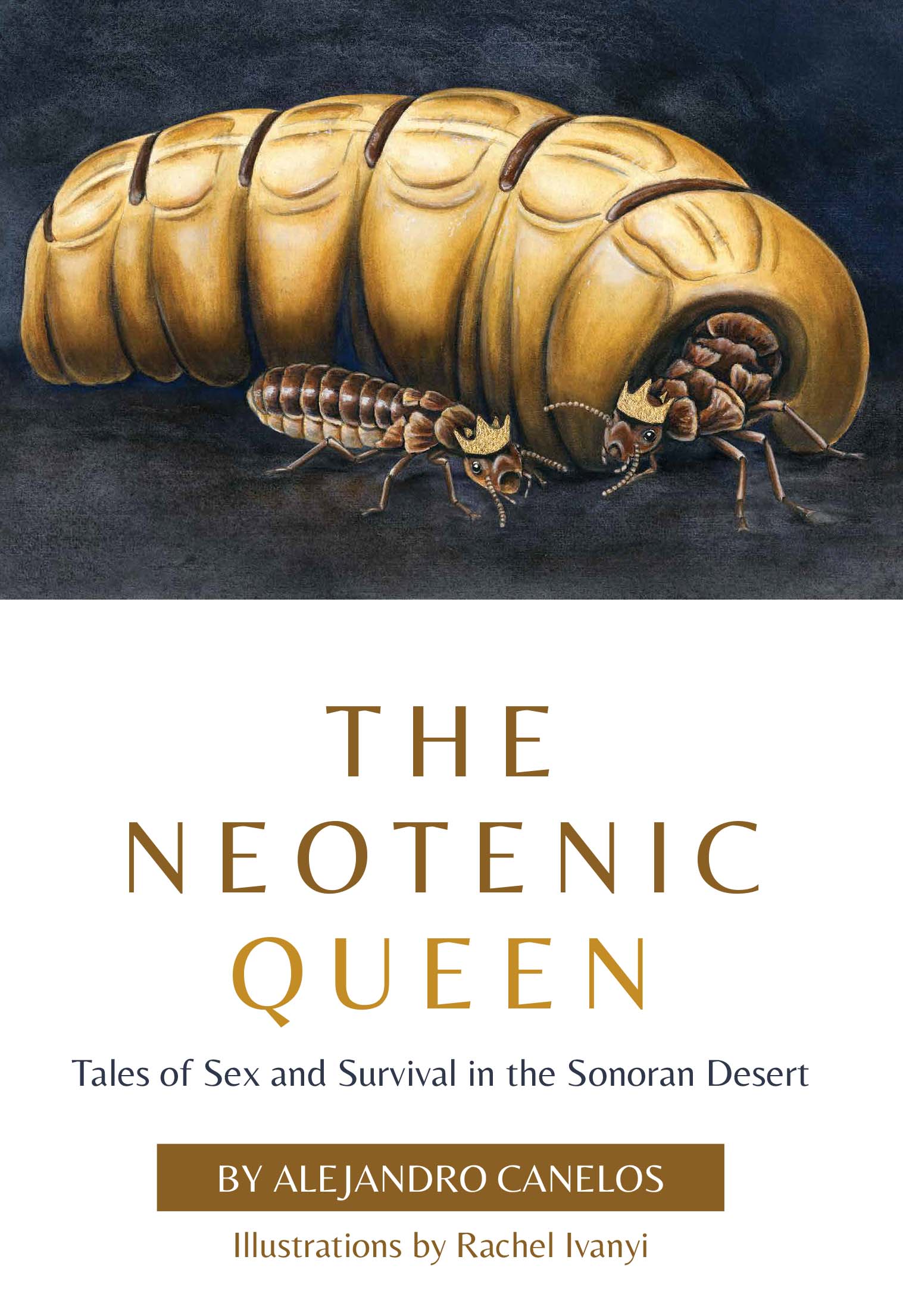 Neotenic Queen cover 