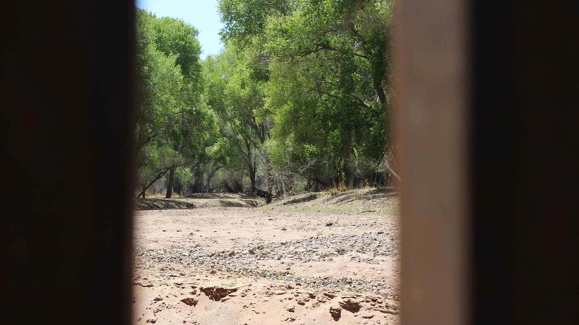 Looking through the rusted-steel border wall into Mexico, at the San Pedro River bed.