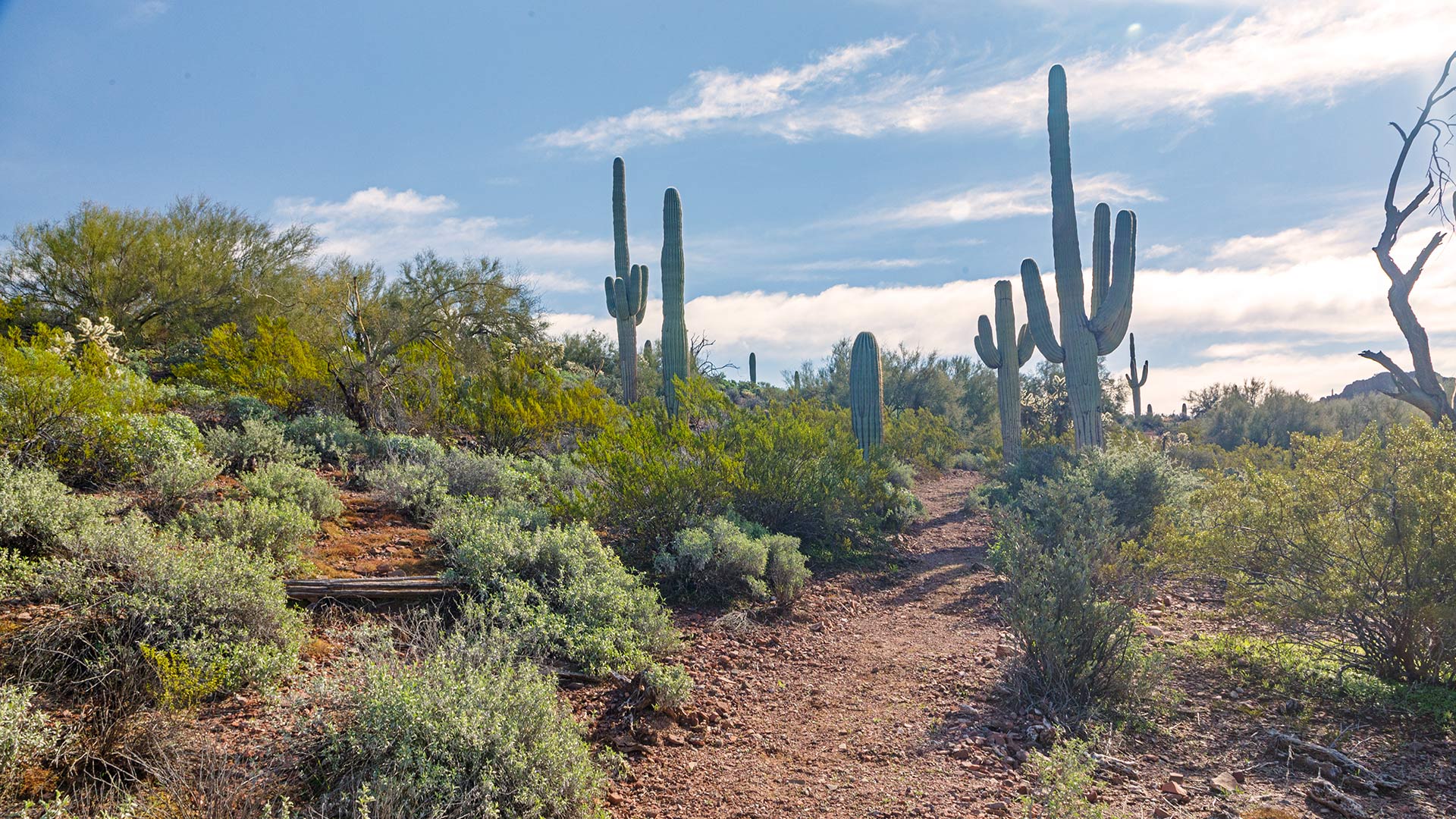 The Peralta Regional Park in Pinal County was funded by the Land and Water Conservation Fund and completed in February. Situated in the Superstition Mountains, the park has multi-use motorized trails, ramadas and campsites. 